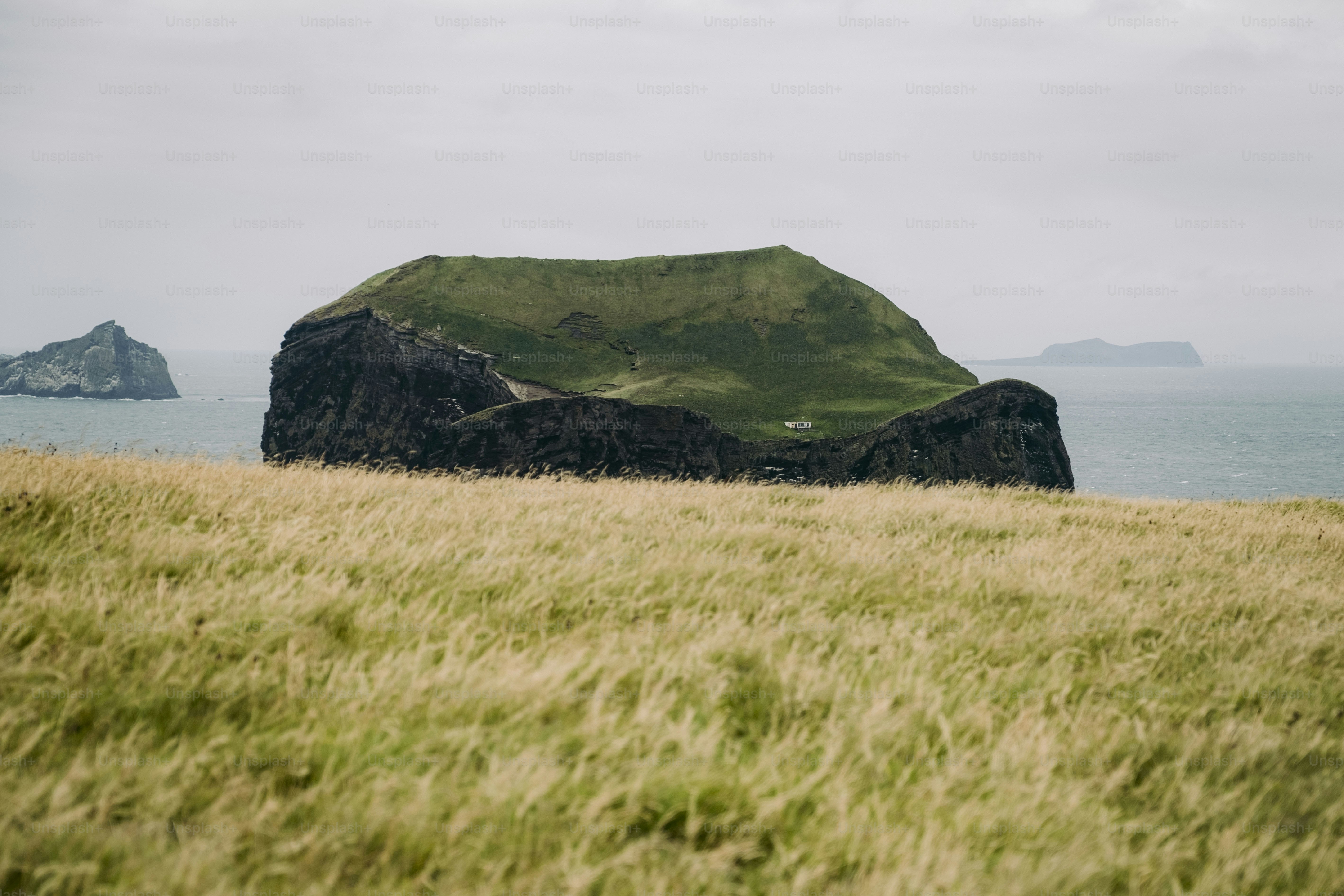 A grassy field with an island in the distance
