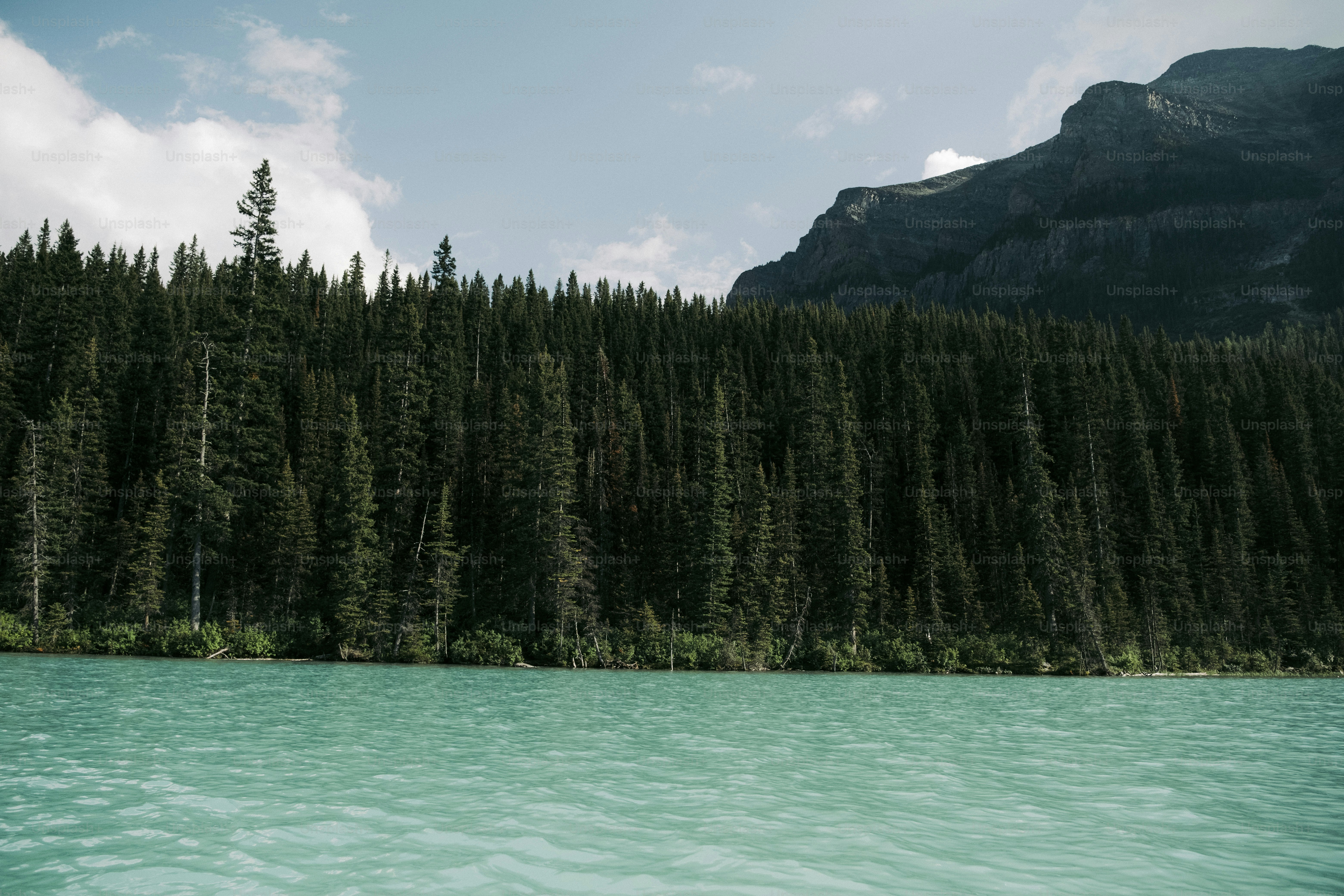 A body of water surrounded by trees and mountains
