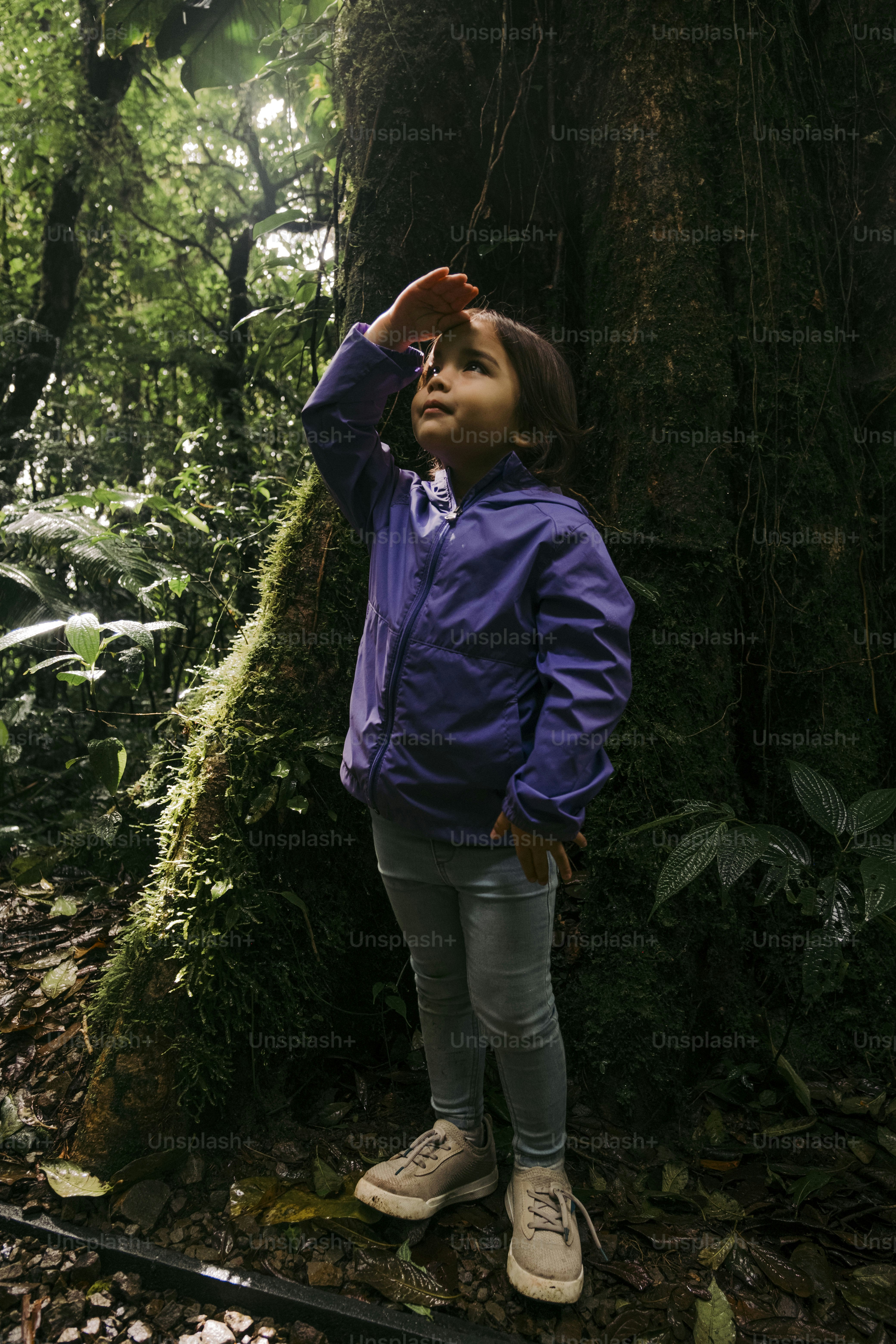 A little girl standing next to a tree in a forest photo – Travel Image ...