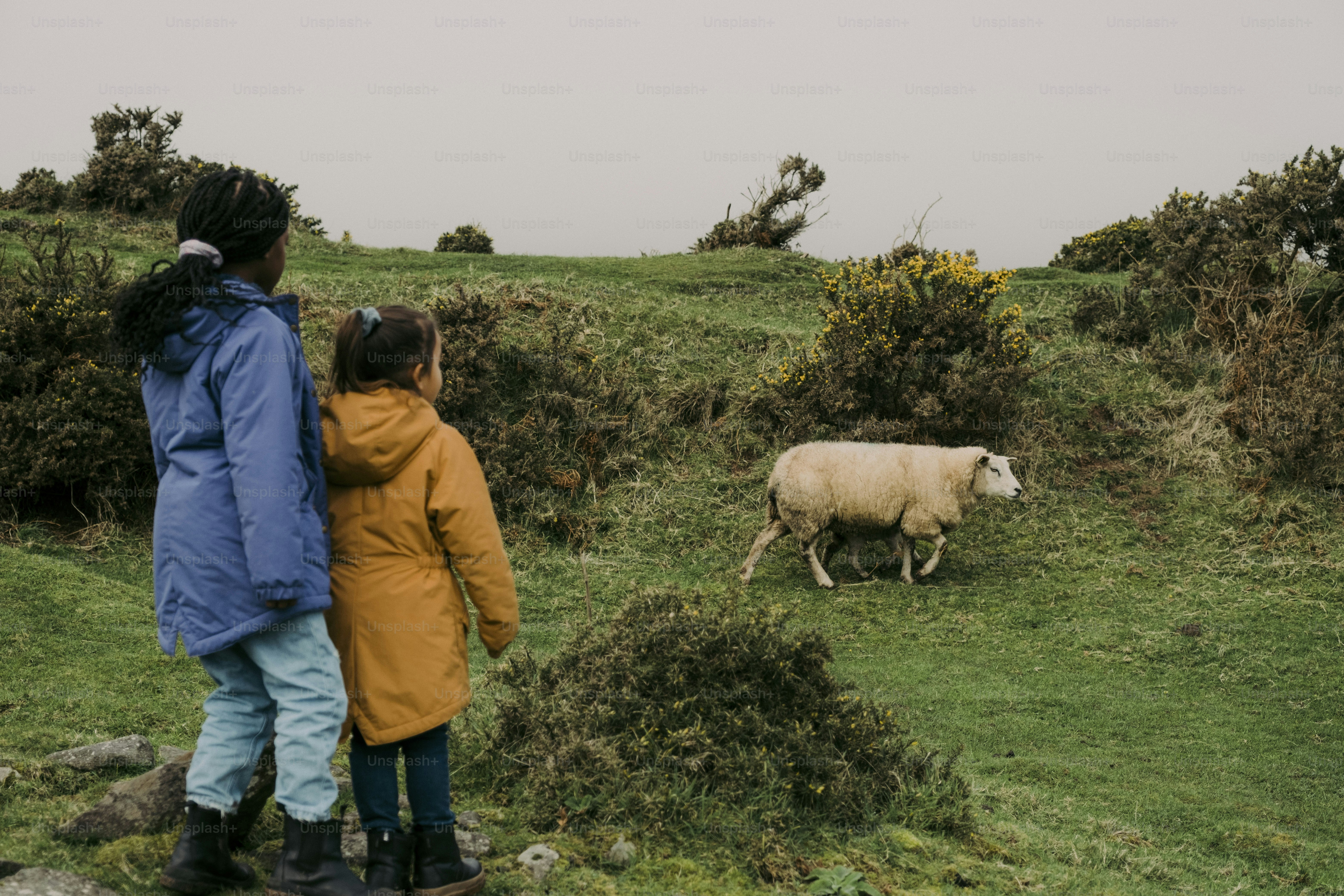 A couple of people that are standing in the grass