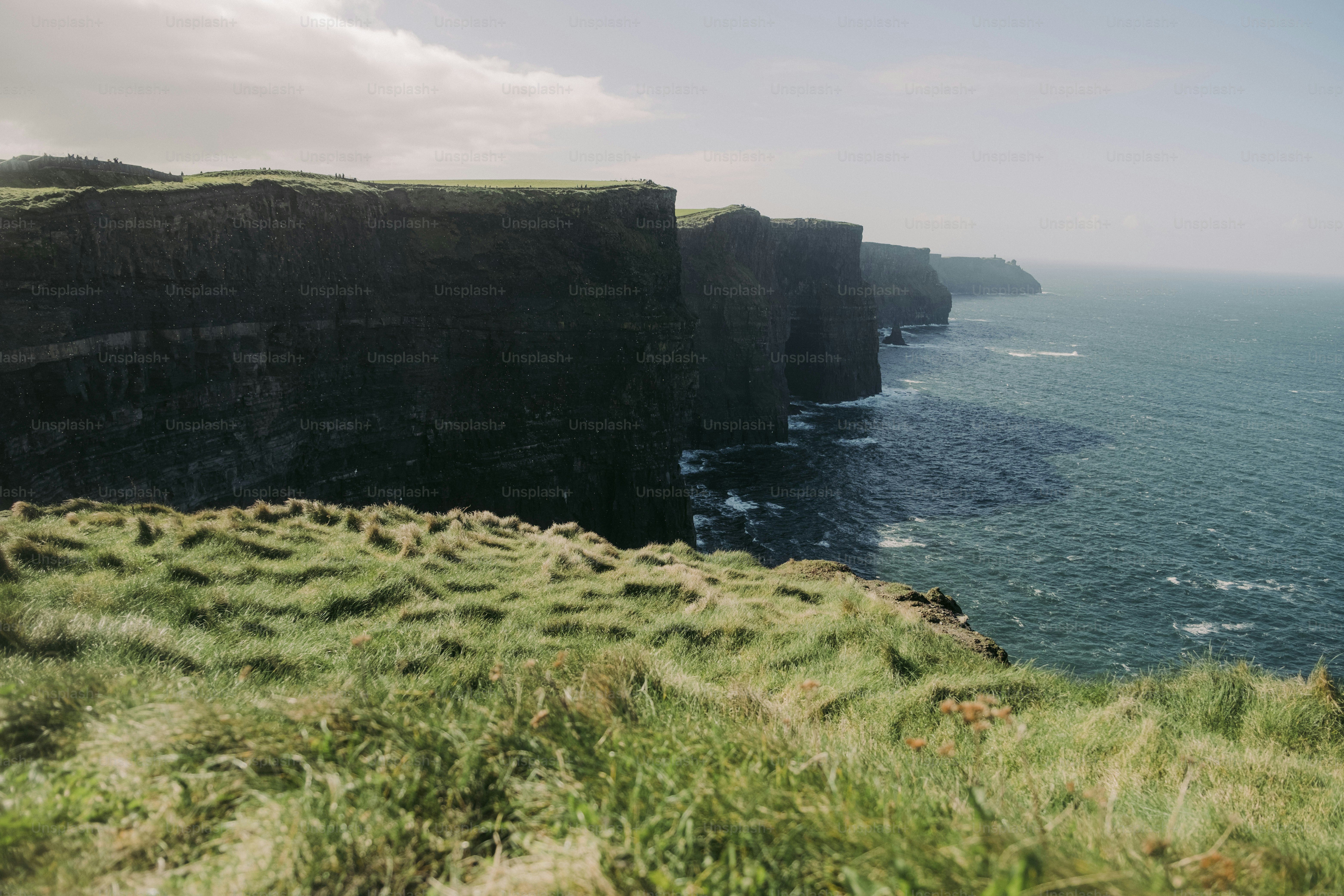 A grassy field next to a cliff overlooking the ocean