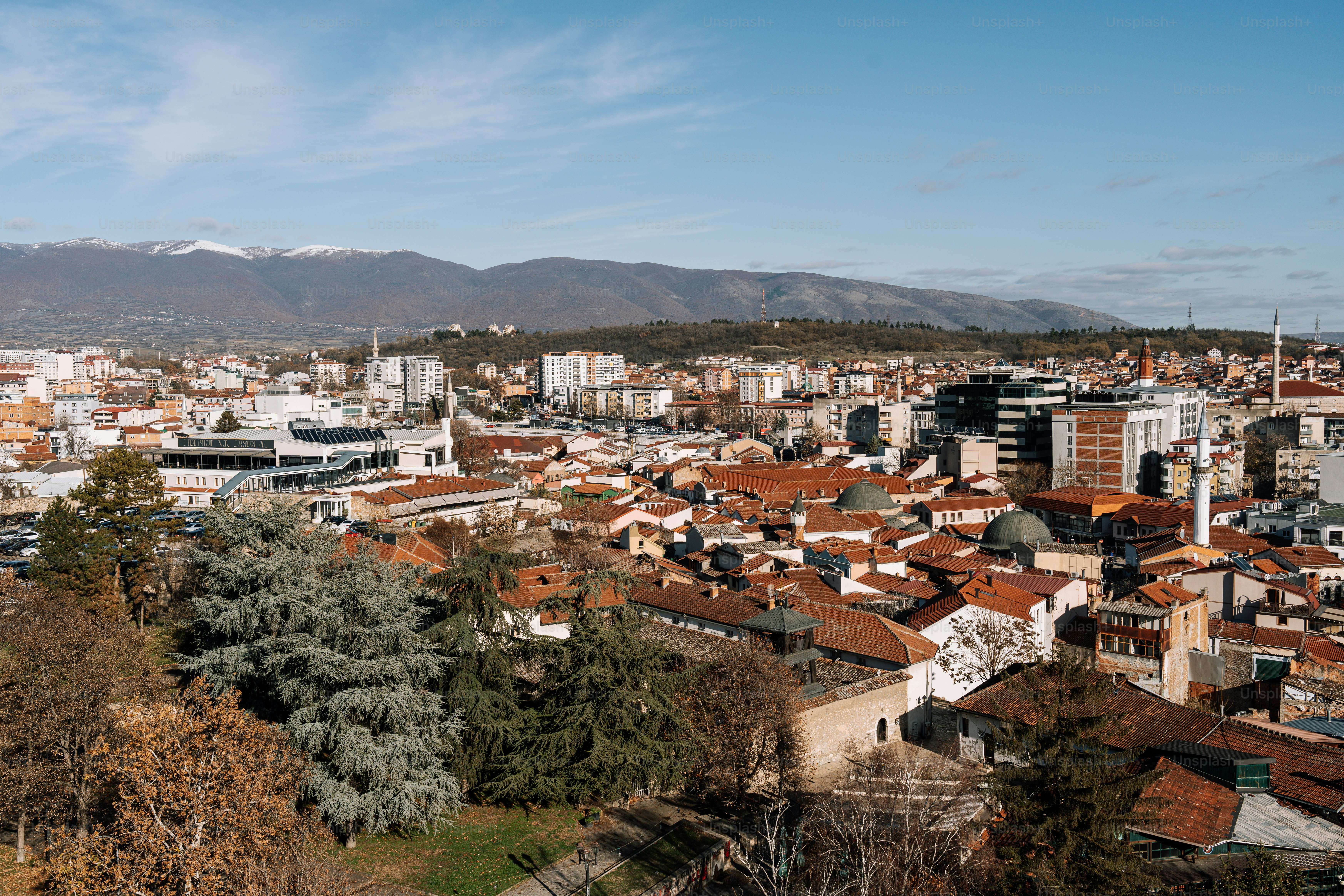 A view of a city with mountains in the background