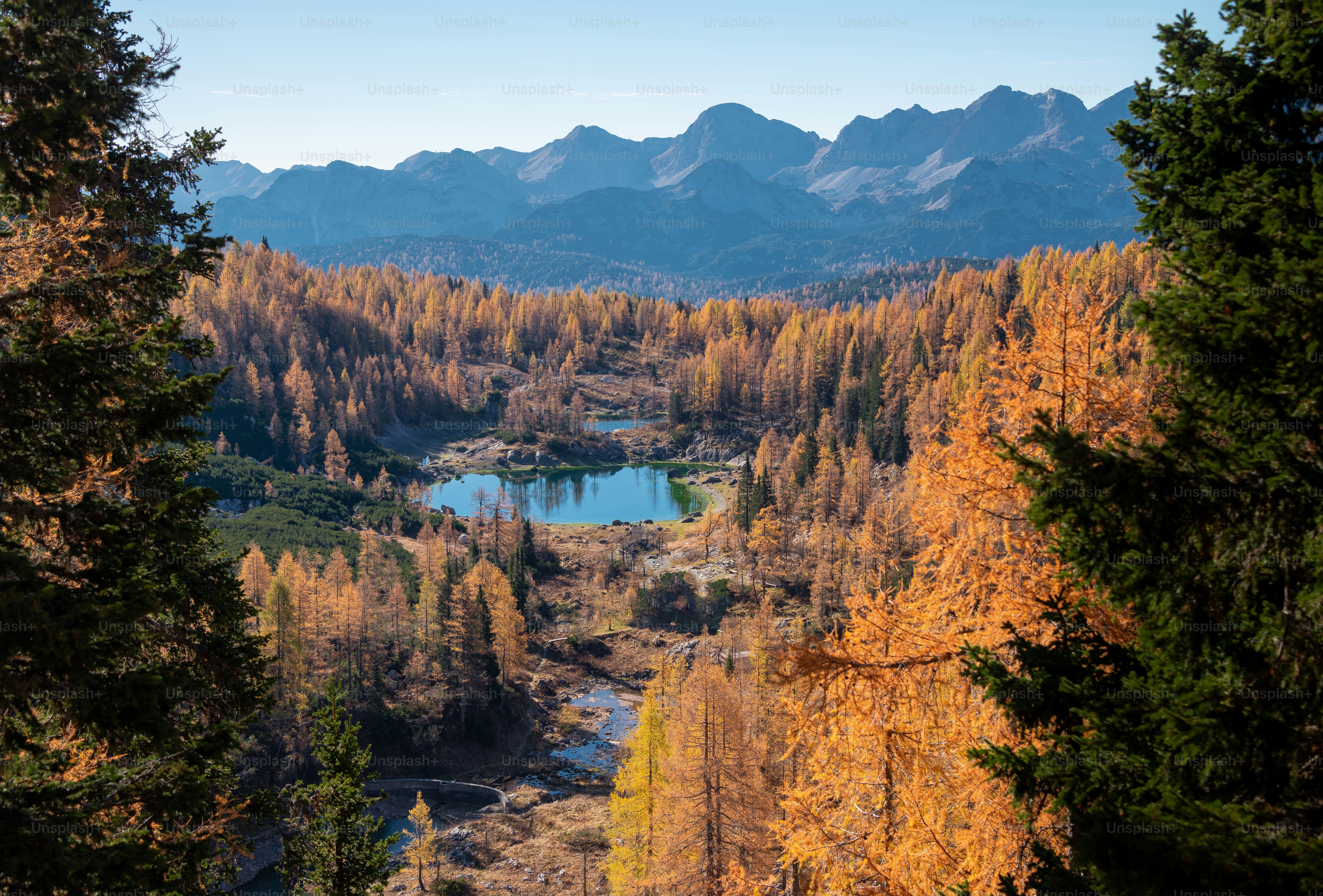 A lake surrounded by trees with mountains in the background