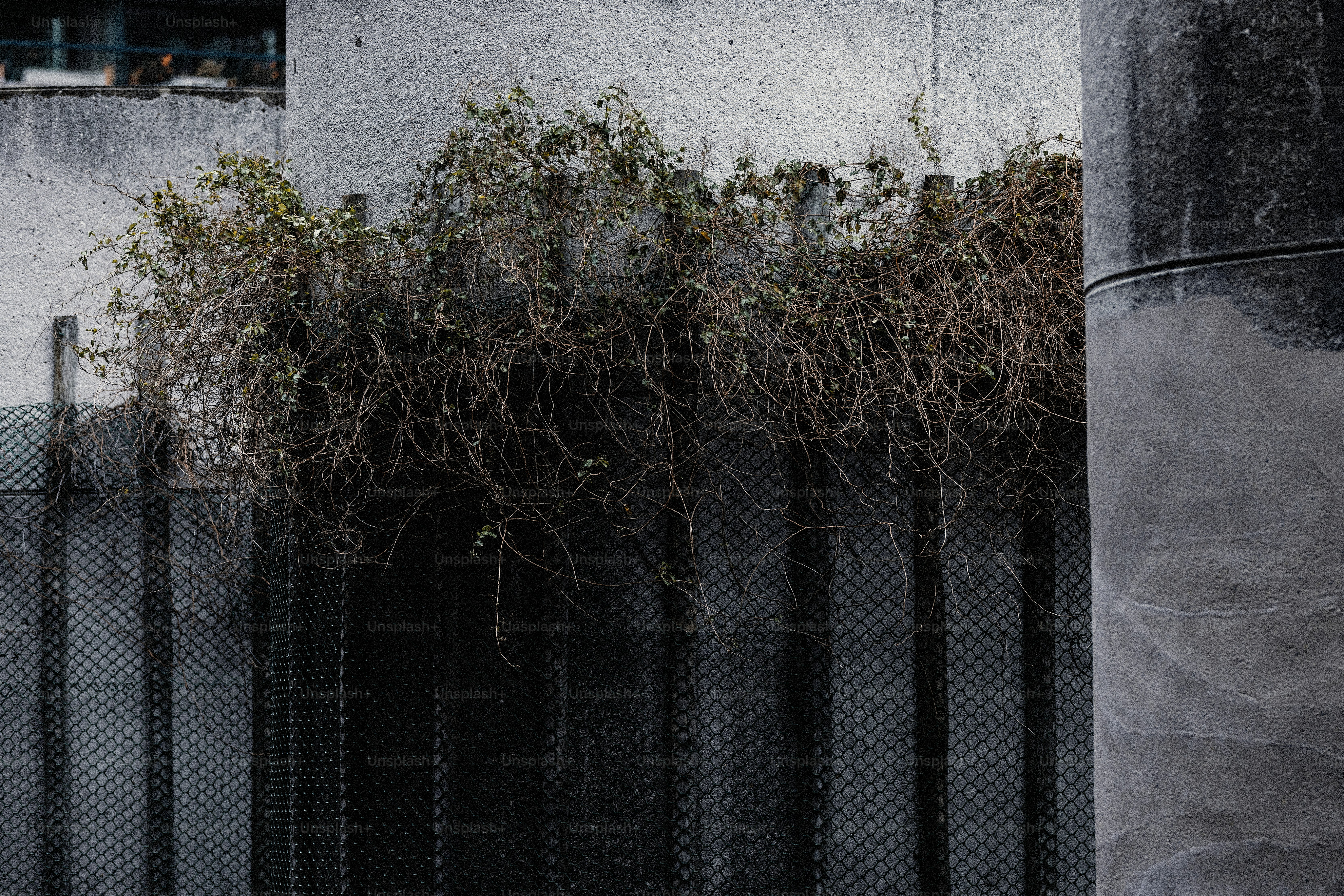 A man riding a skateboard down a street next to a tall building