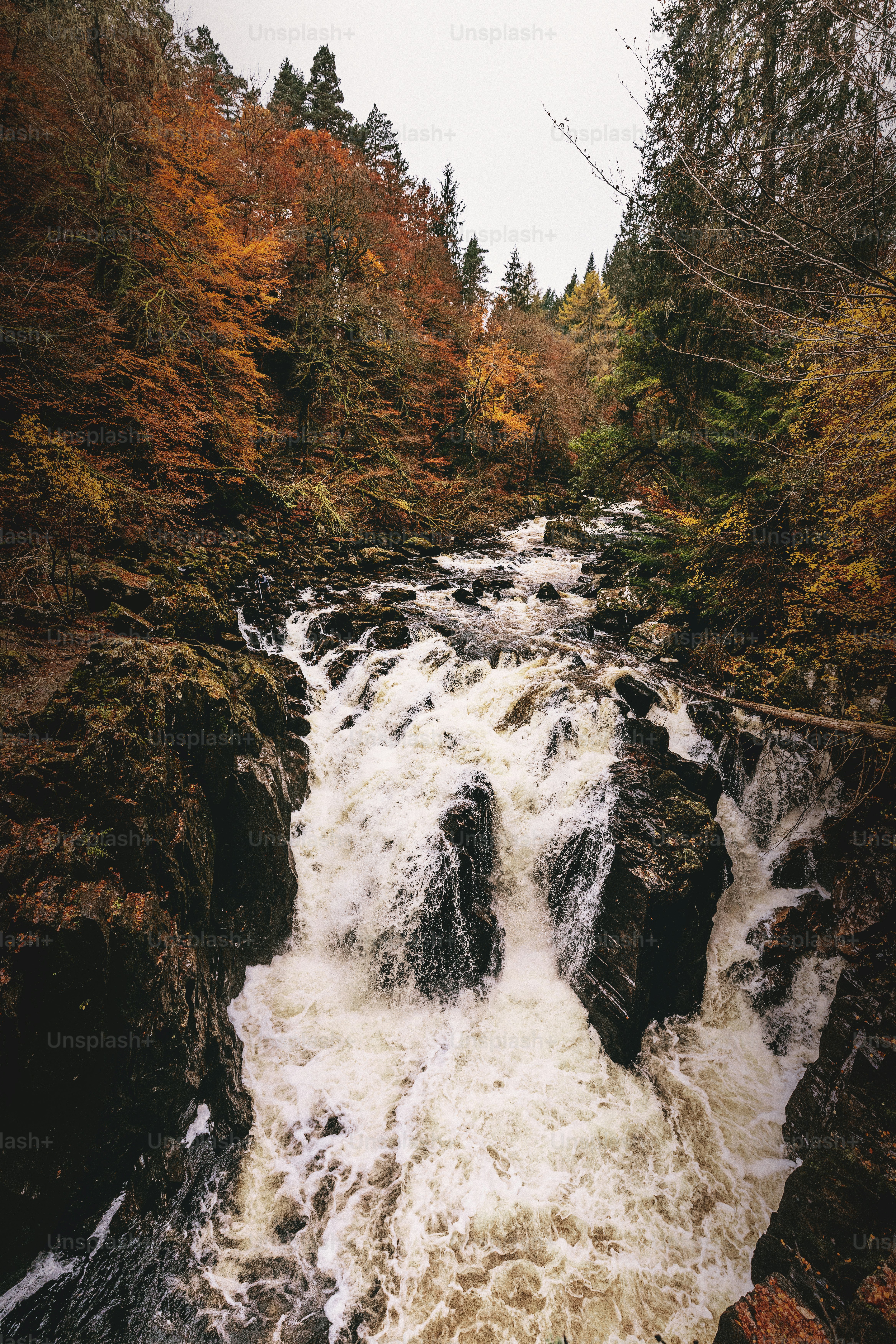 A waterfall in the middle of a forest