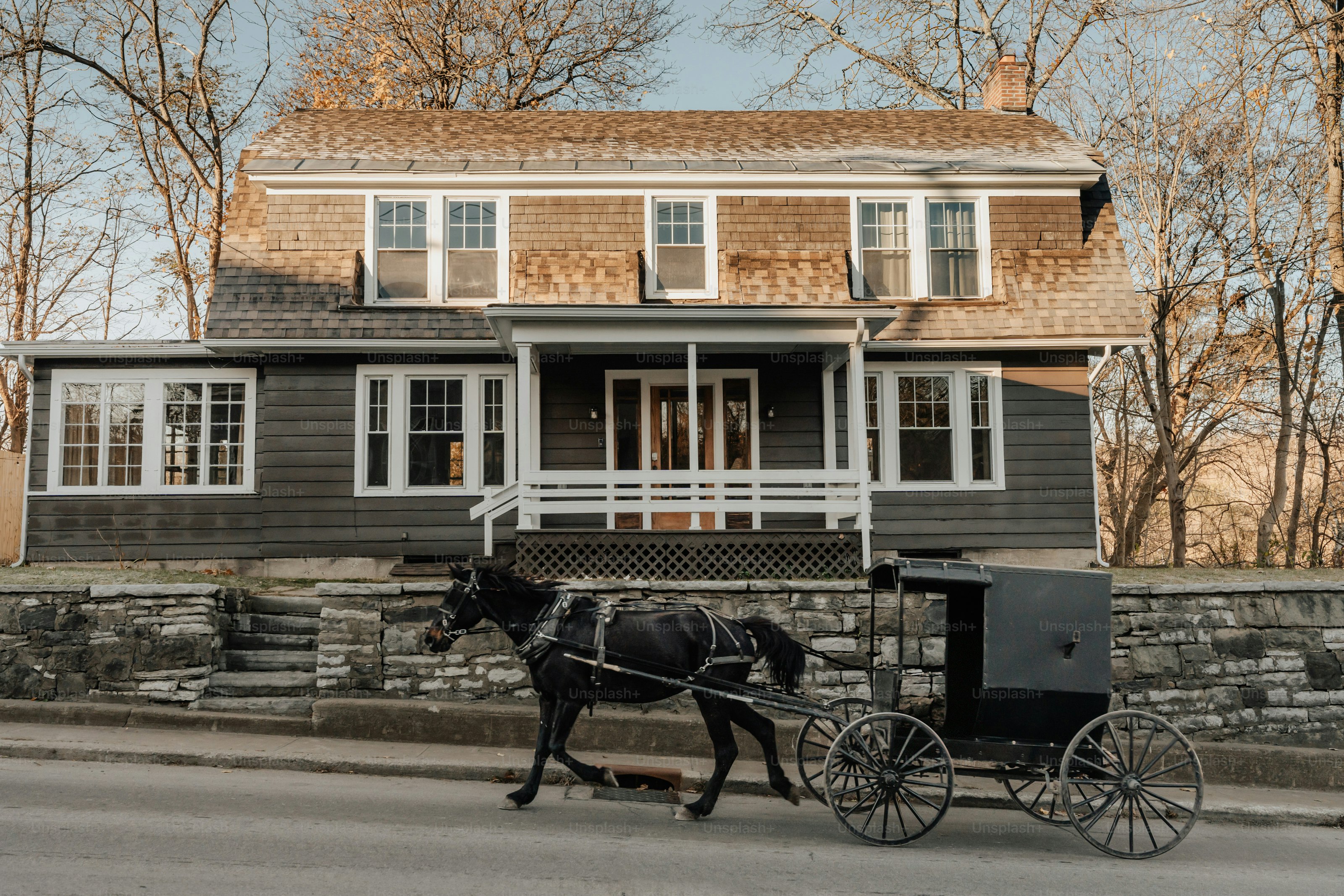 A horse pulling a carriage down a street