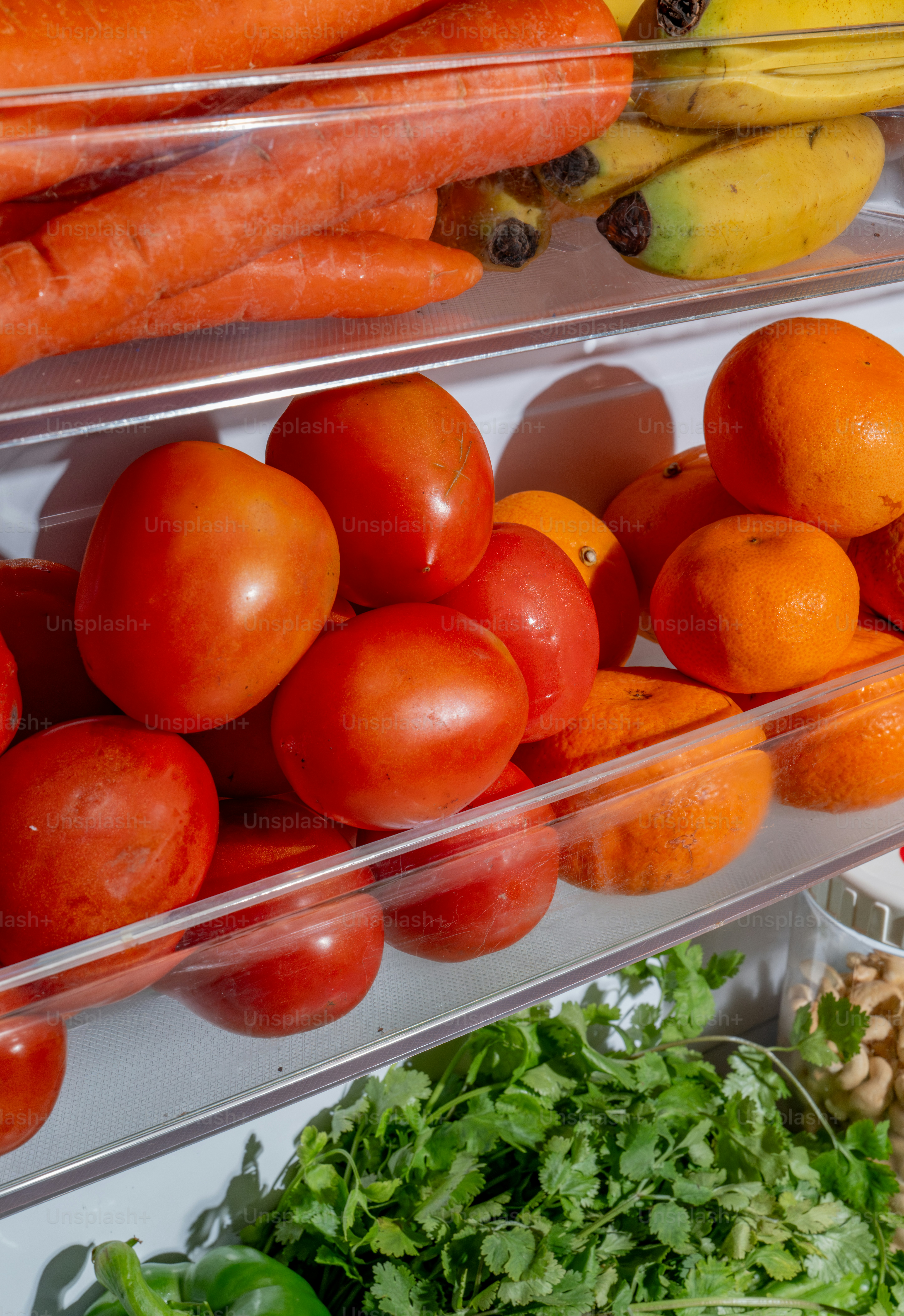 A bunch of fruits and vegetables are on display