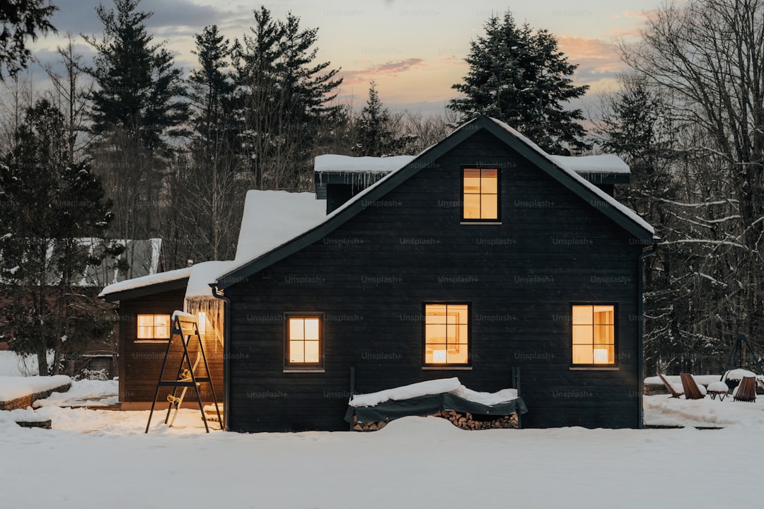A house with a lot of snow on the ground