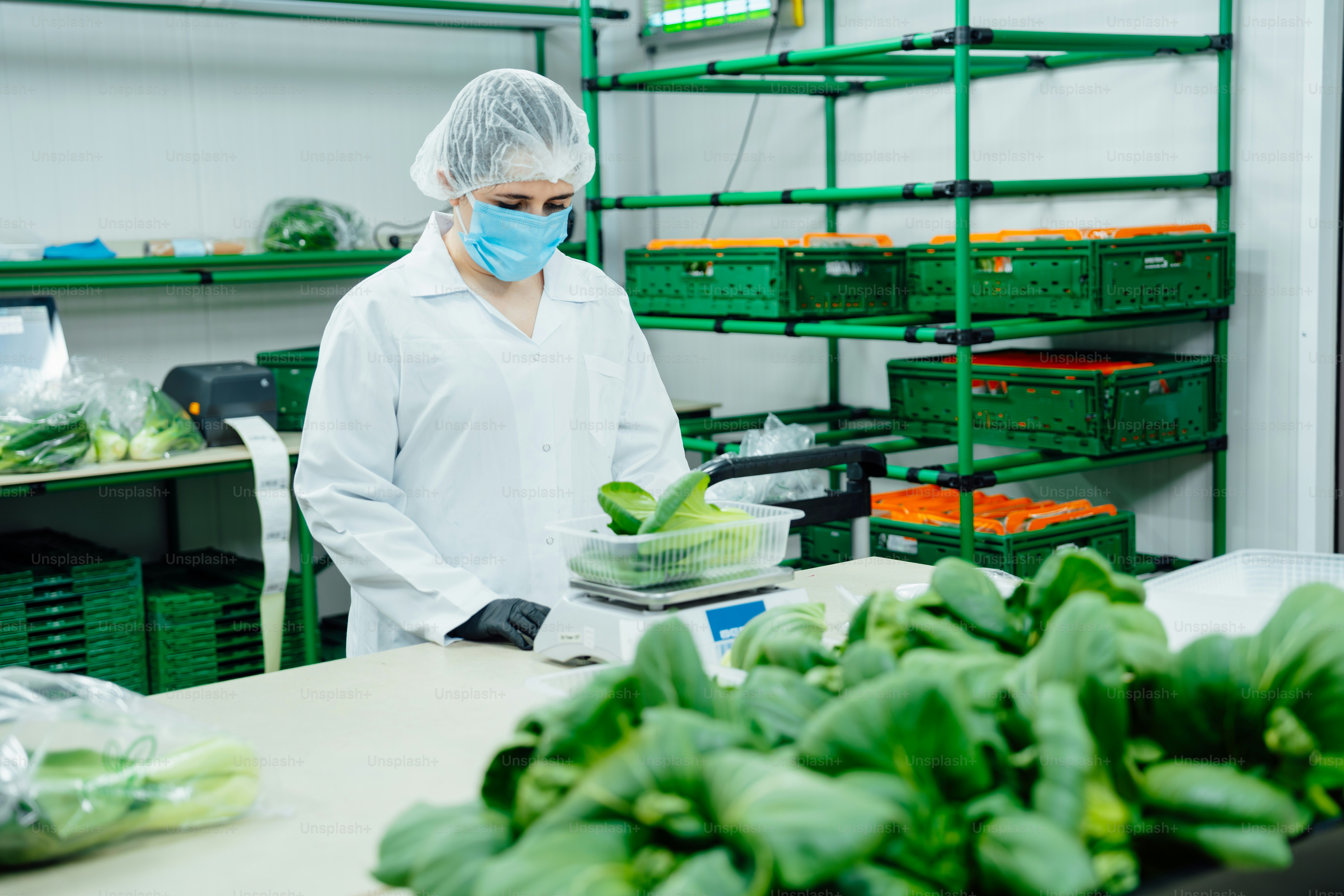 A man in a white lab coat and a face mask photo – Aeroponic systems ...