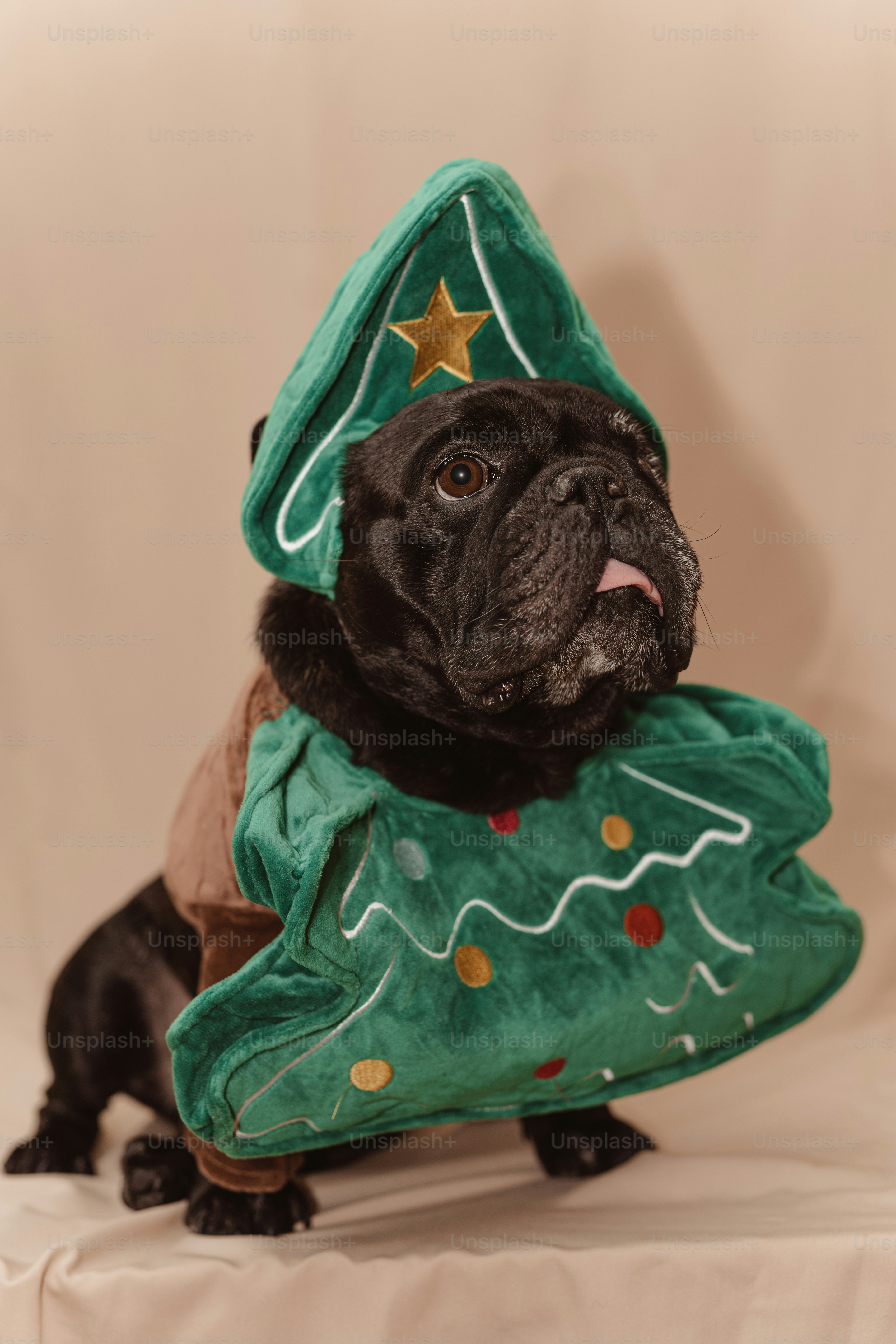 Alamin-Khan의 사진 및 이미지 포트폴리오 | Shutterstock 기고자, image size:3000x4500