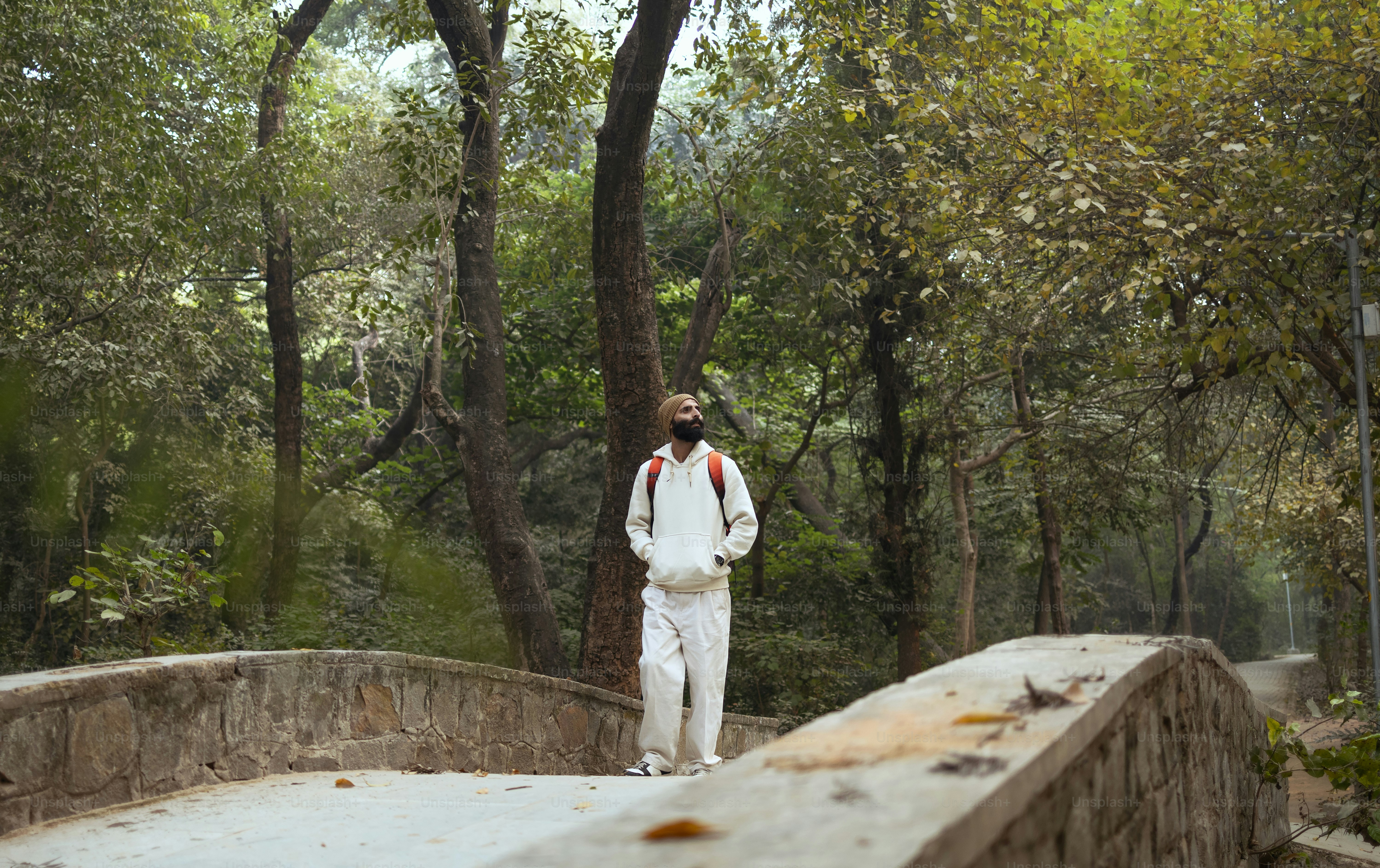 A man standing on a bridge in the woods