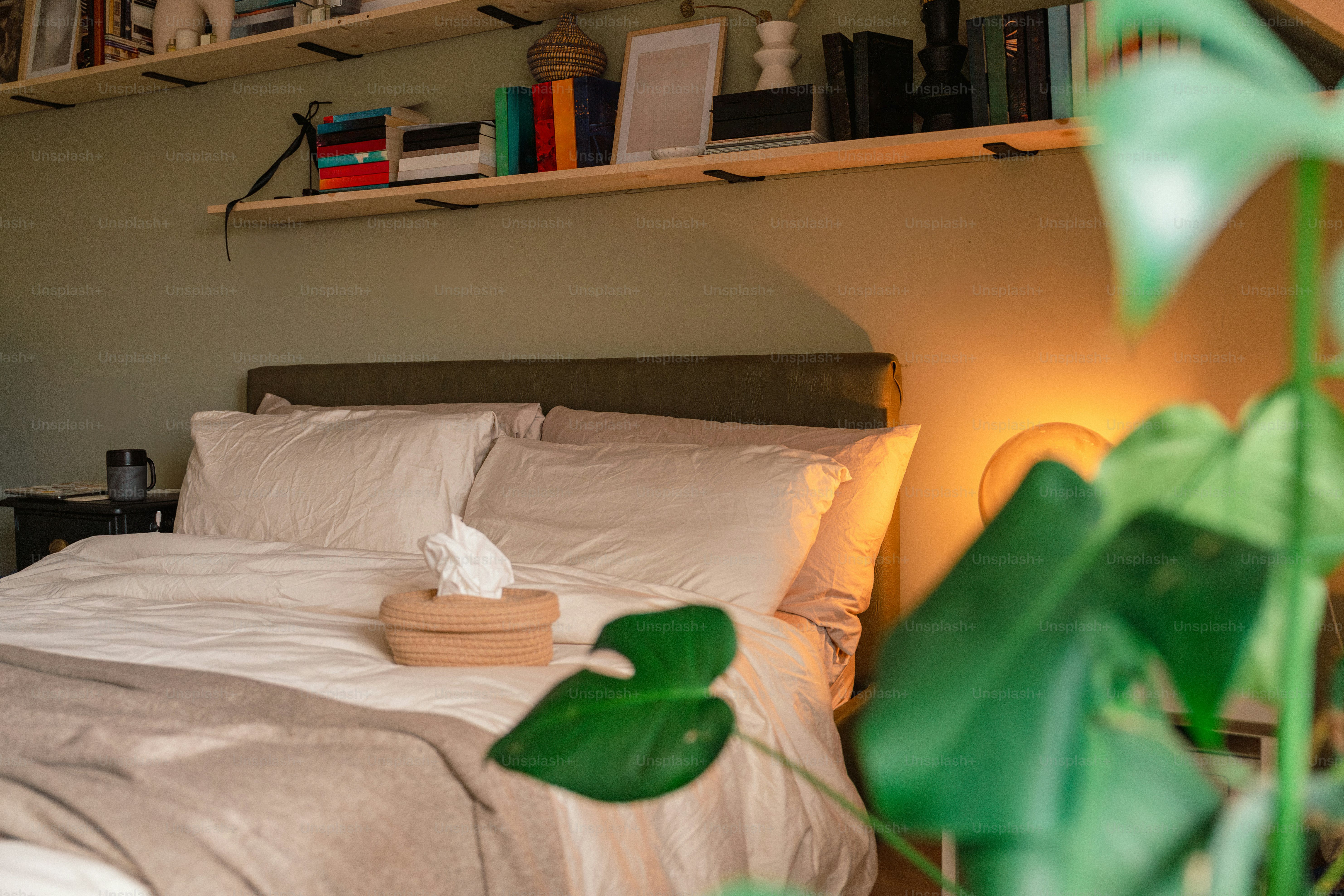 A bedroom with a bed and a plant in the corner