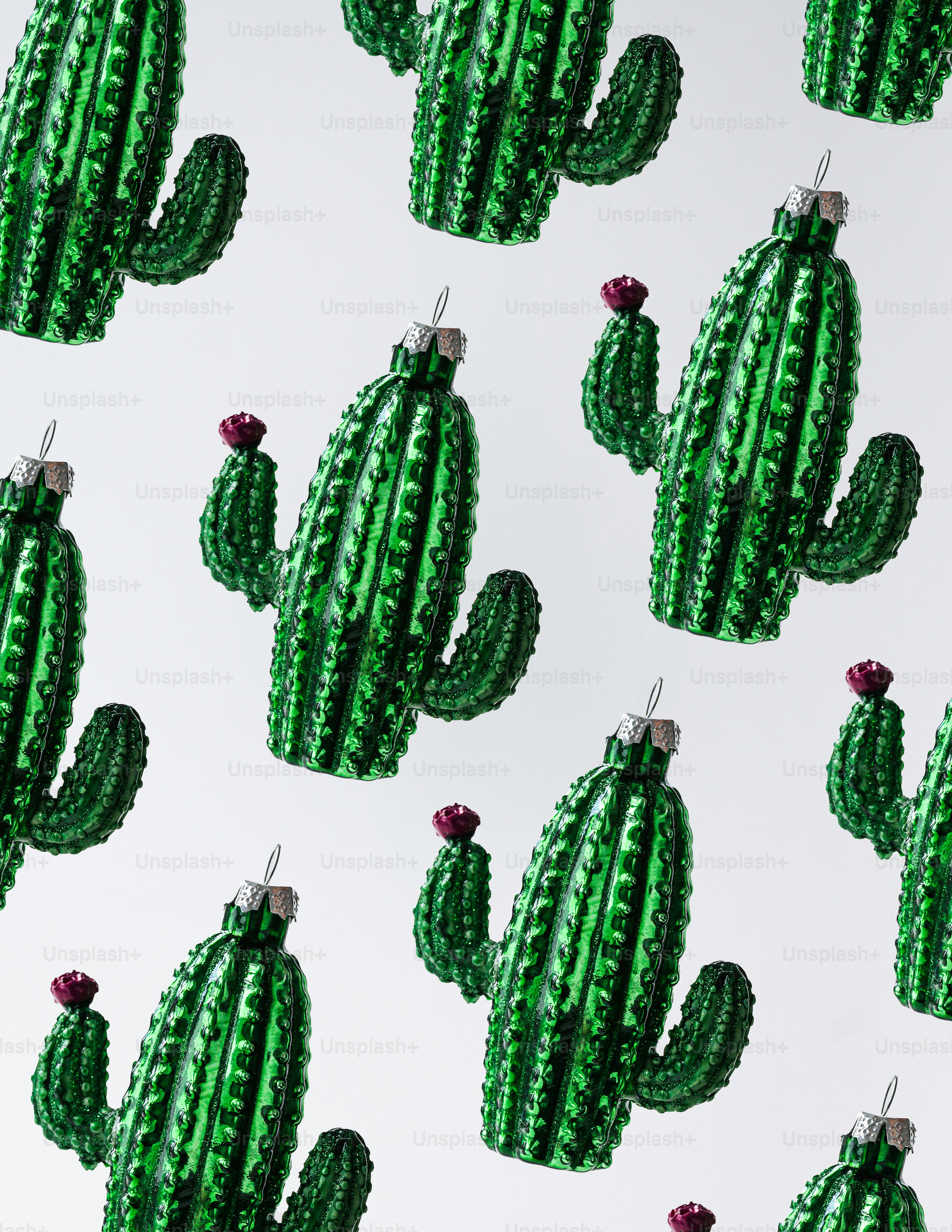 白い背景に緑のサボテンの束