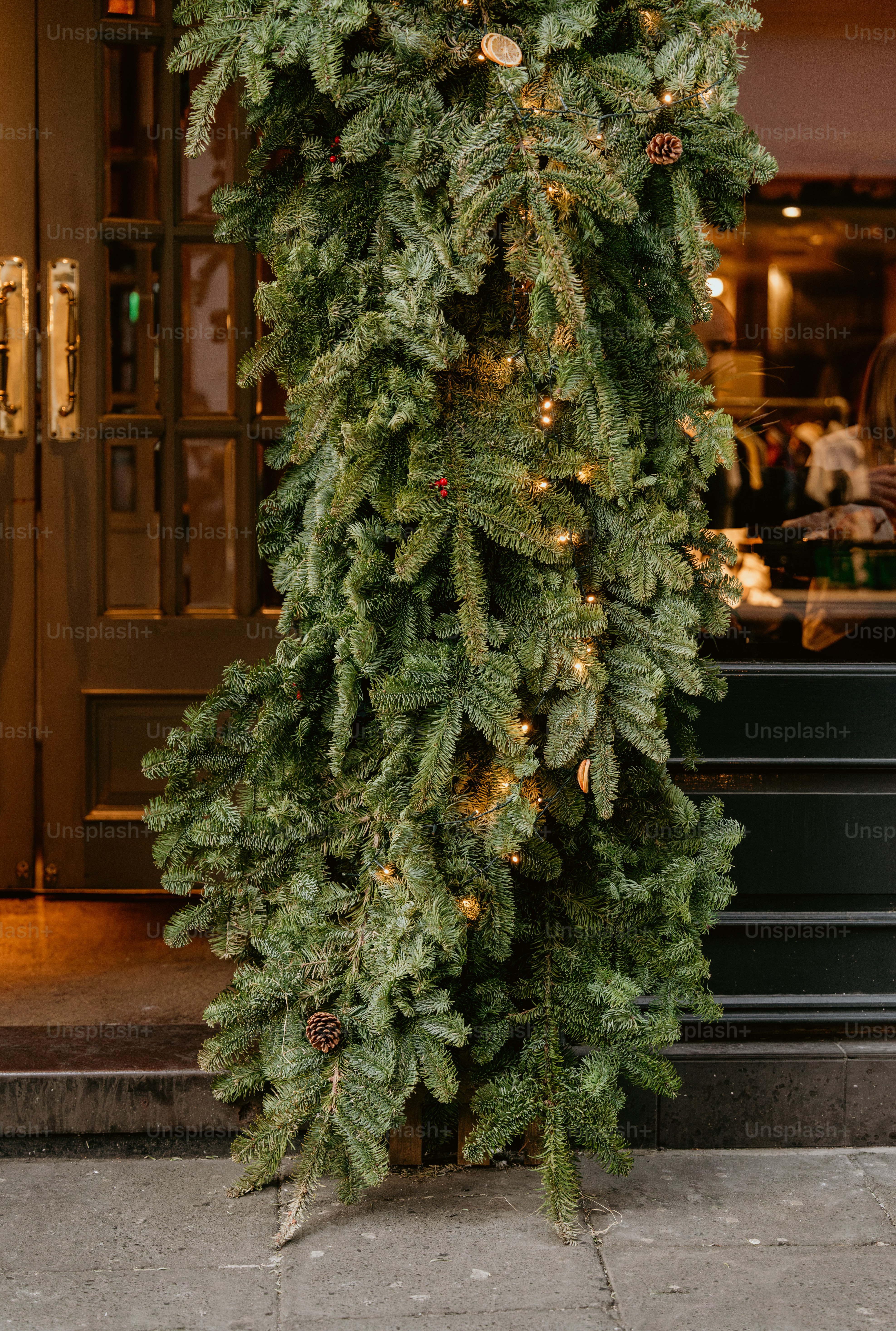 A tall christmas tree sitting in front of a building