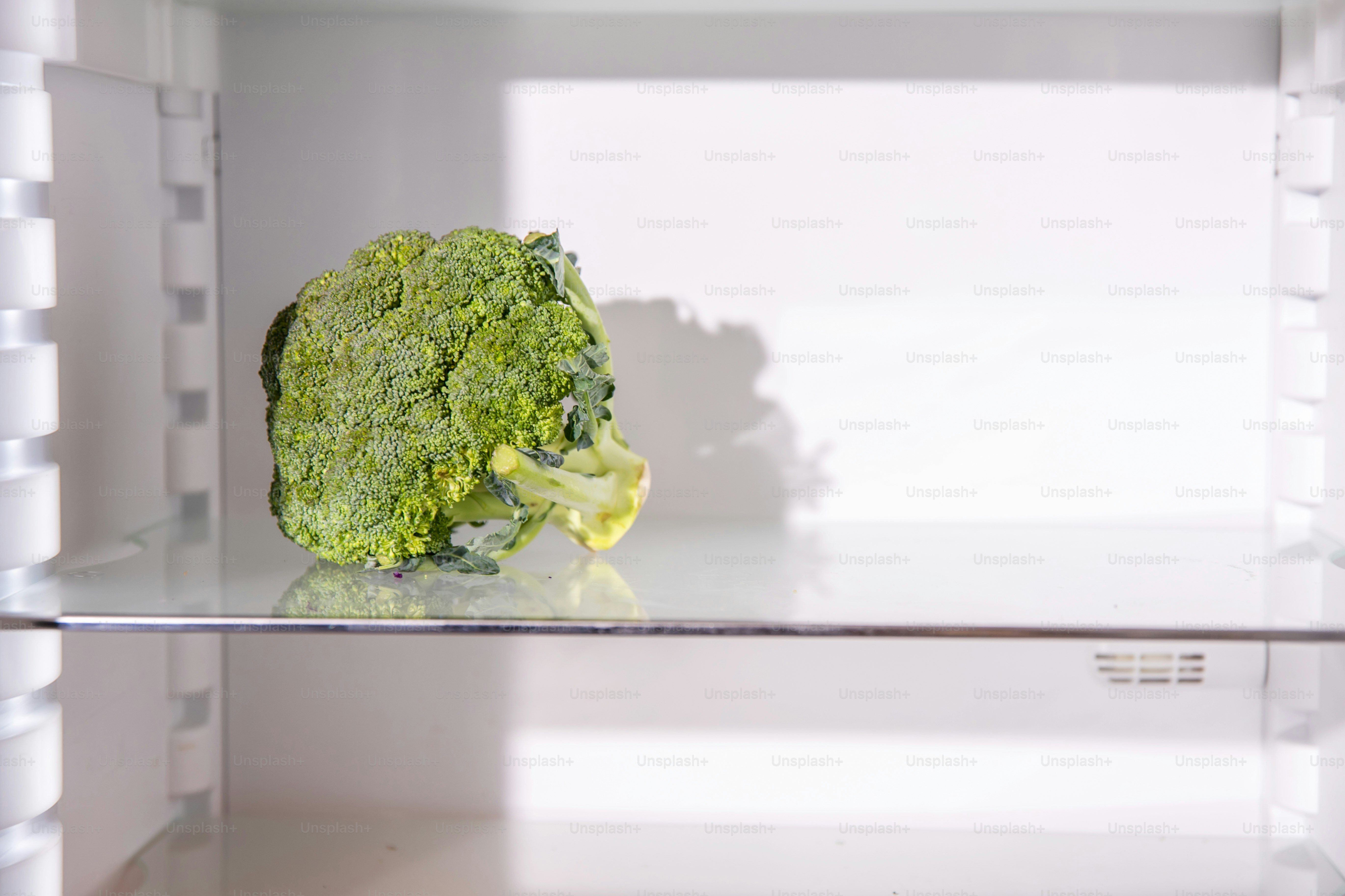 A piece of broccoli sitting on top of a glass shelf