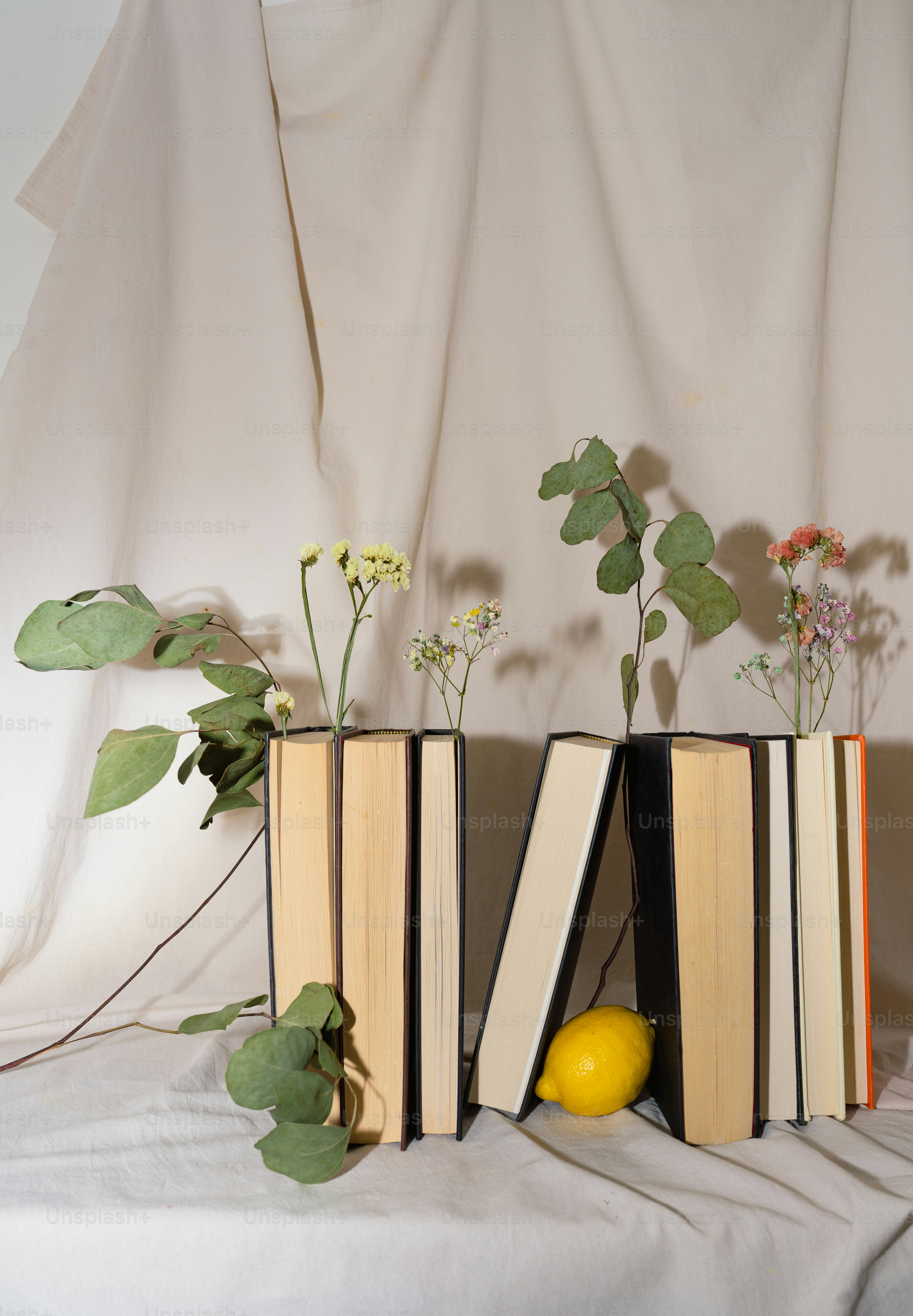 Quelques livres posés sur un lit