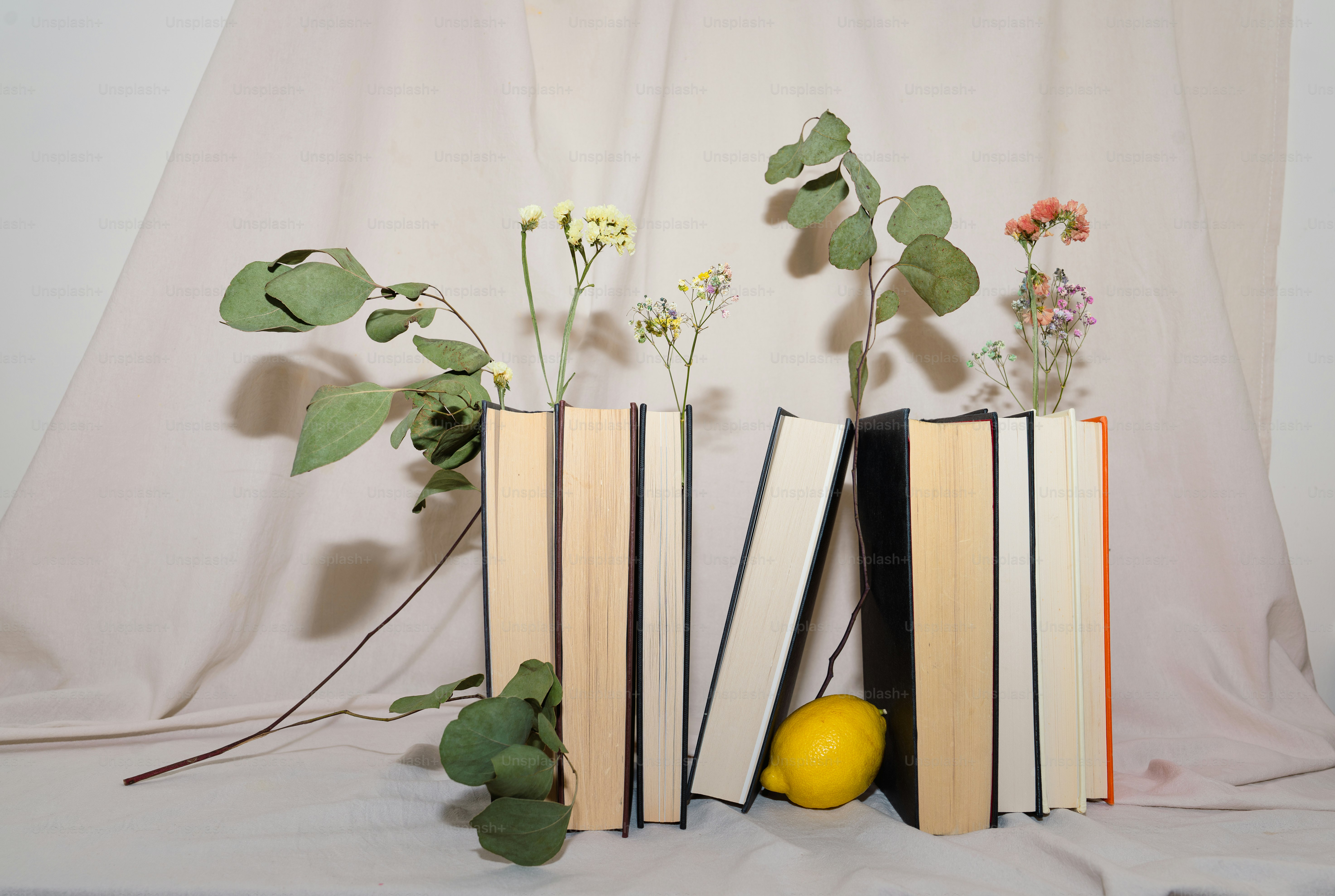 הפיקצ'בוק ככלי טיפולי - מתוך הקליניקה הביבליותרפית