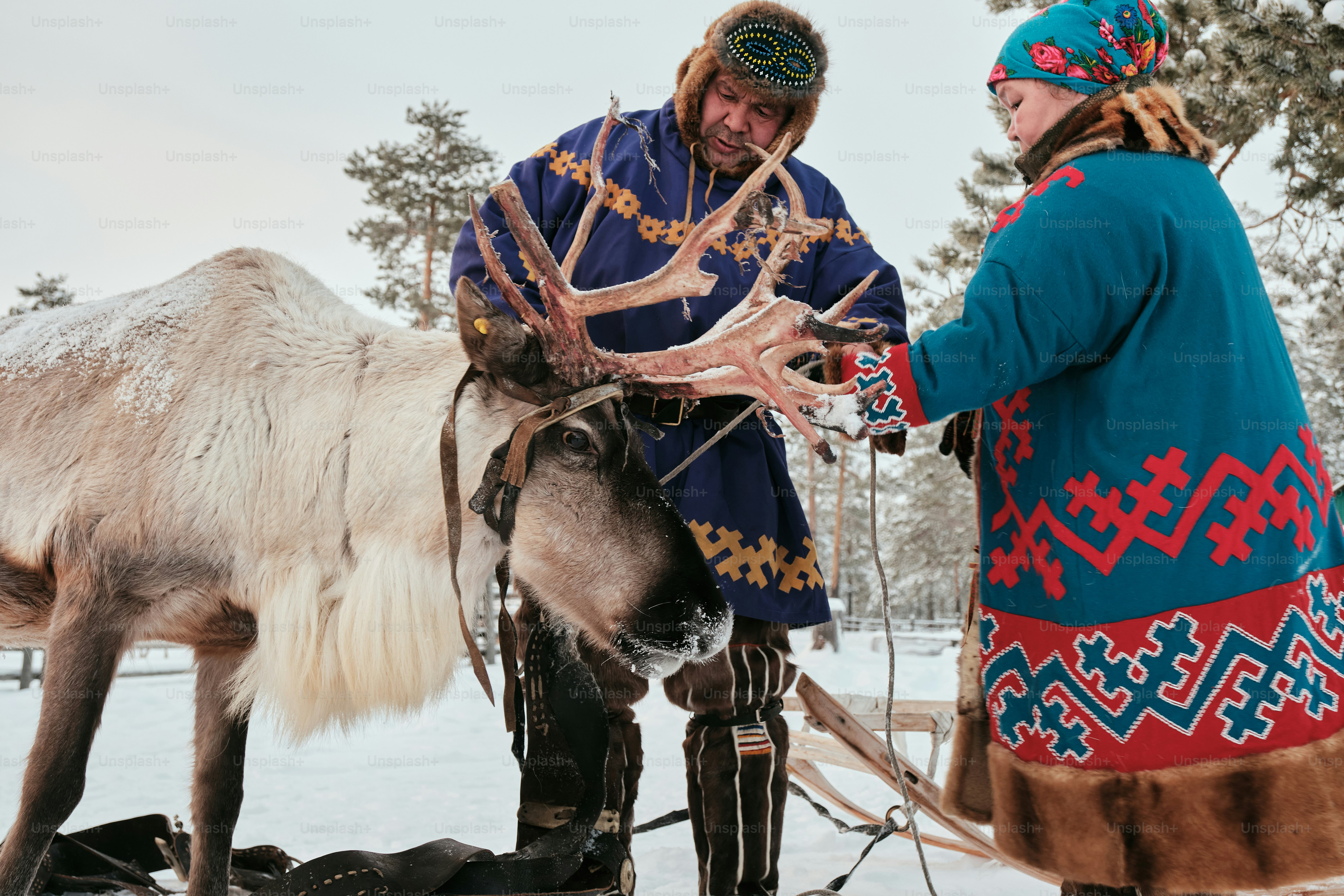 A couple of people that are standing next to a reindeer