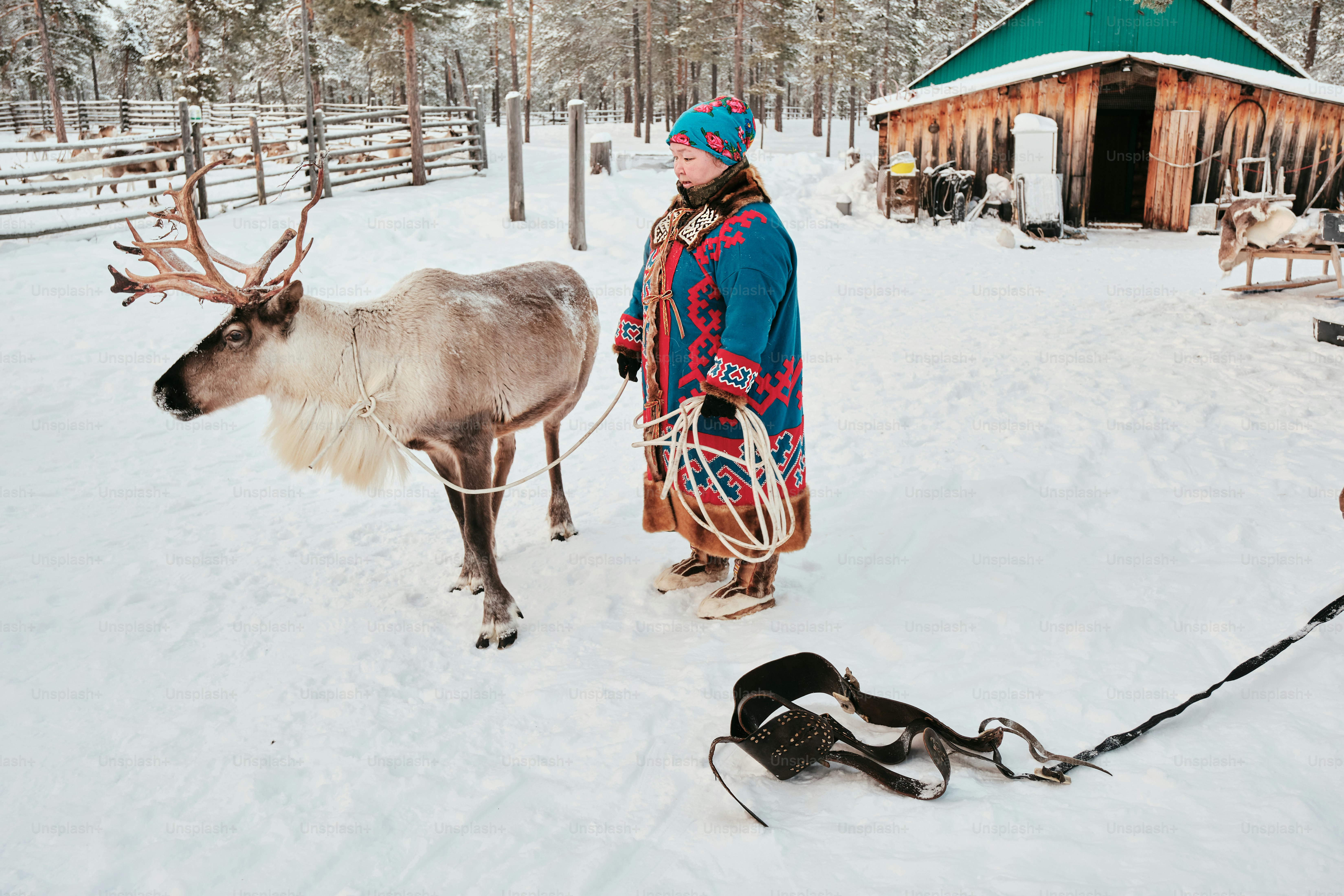 A man standing next to a reindeer in the snow
