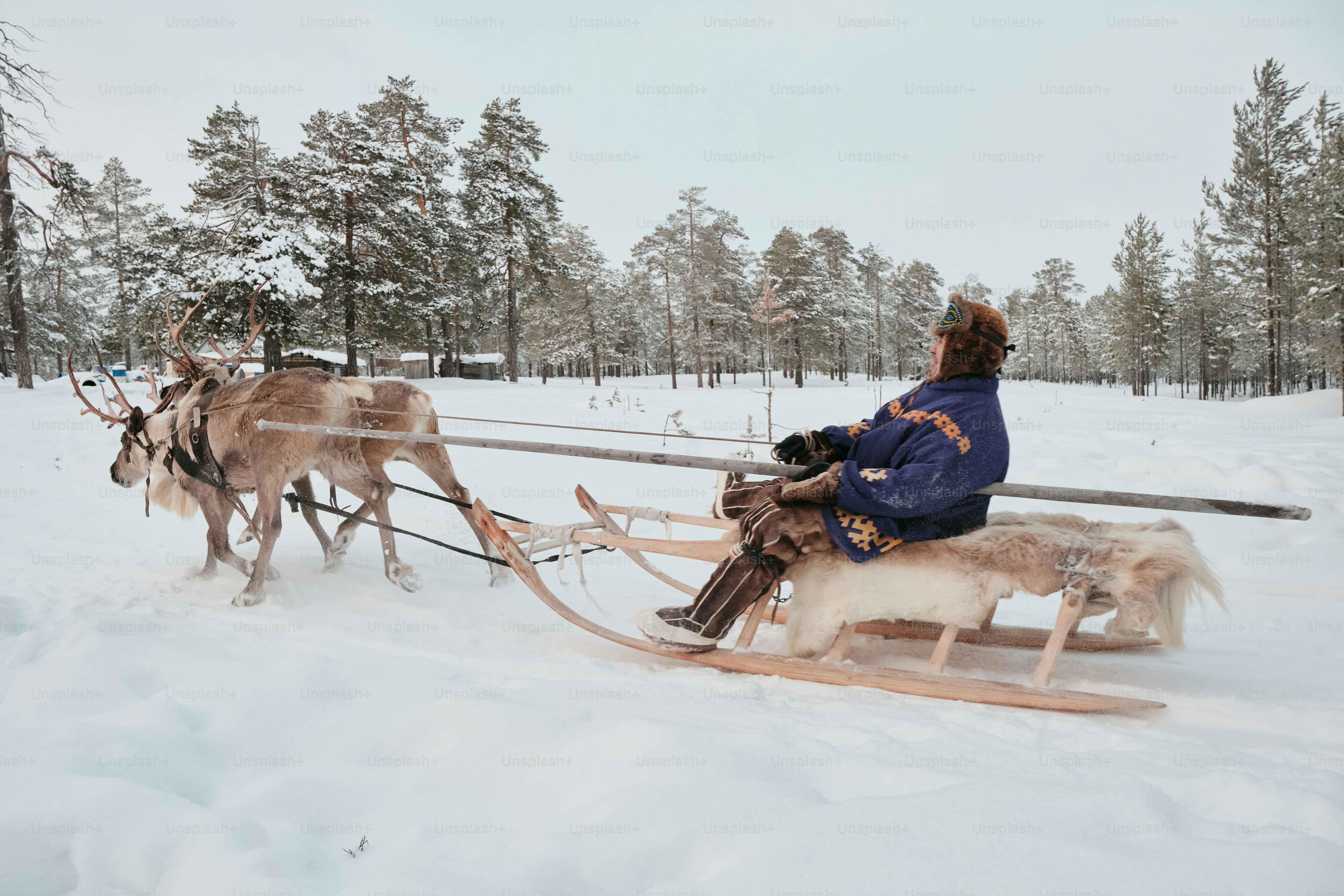 Details of life of small peoples of the North: Khanty (Ugric indigenous people) at their reindeer camp.
