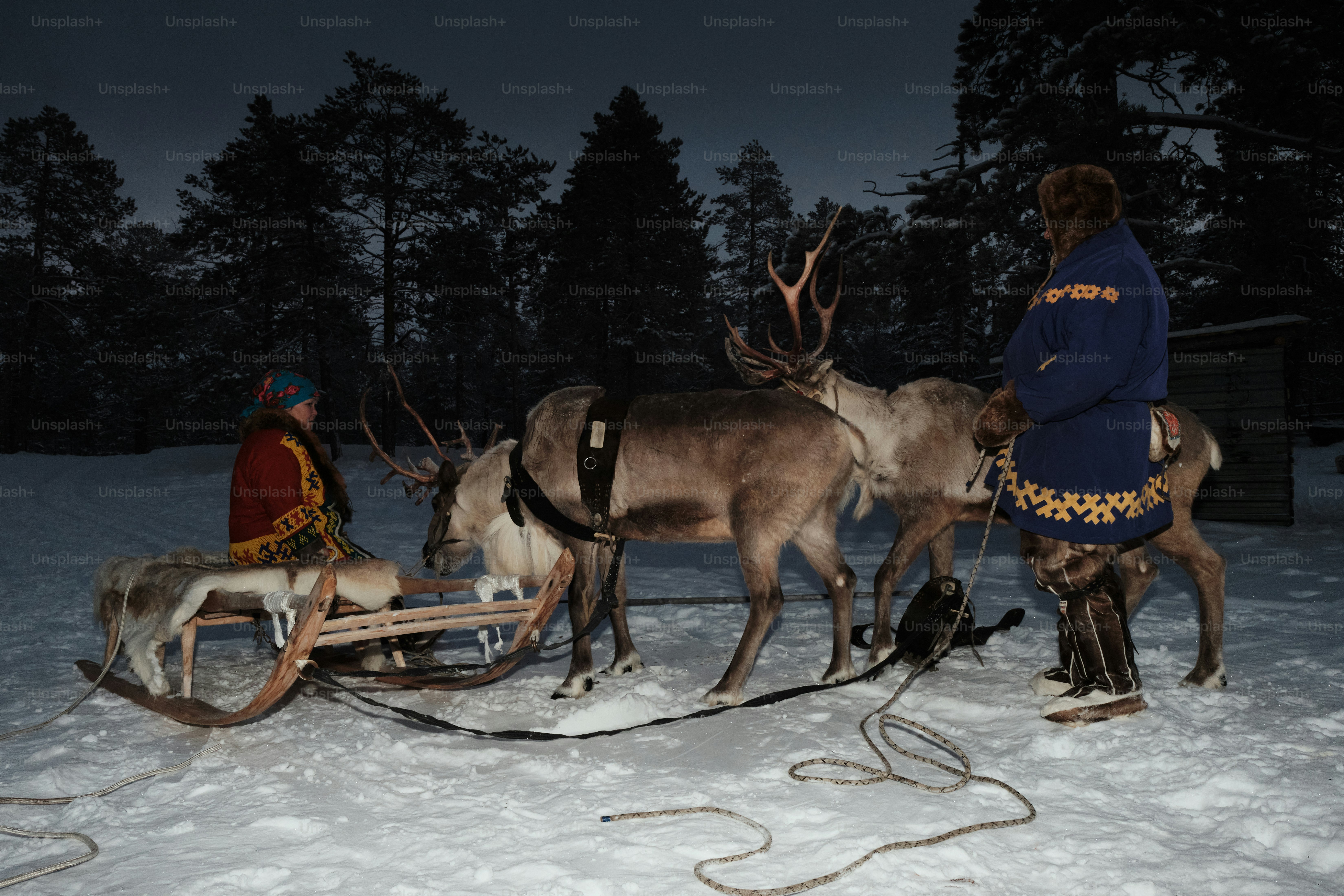 A man riding a sled pulled by two reindeers