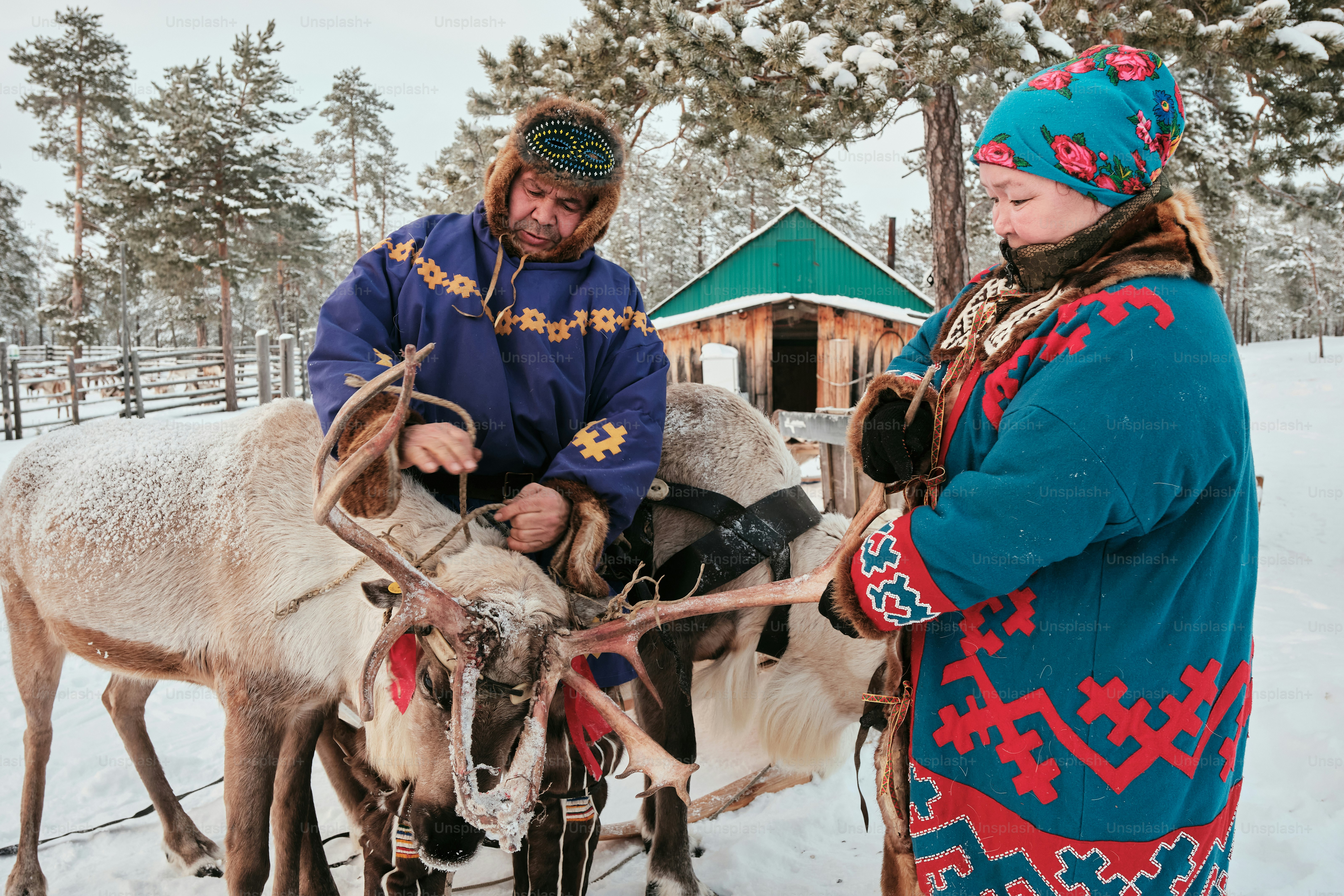 A couple of people standing next to a reindeer