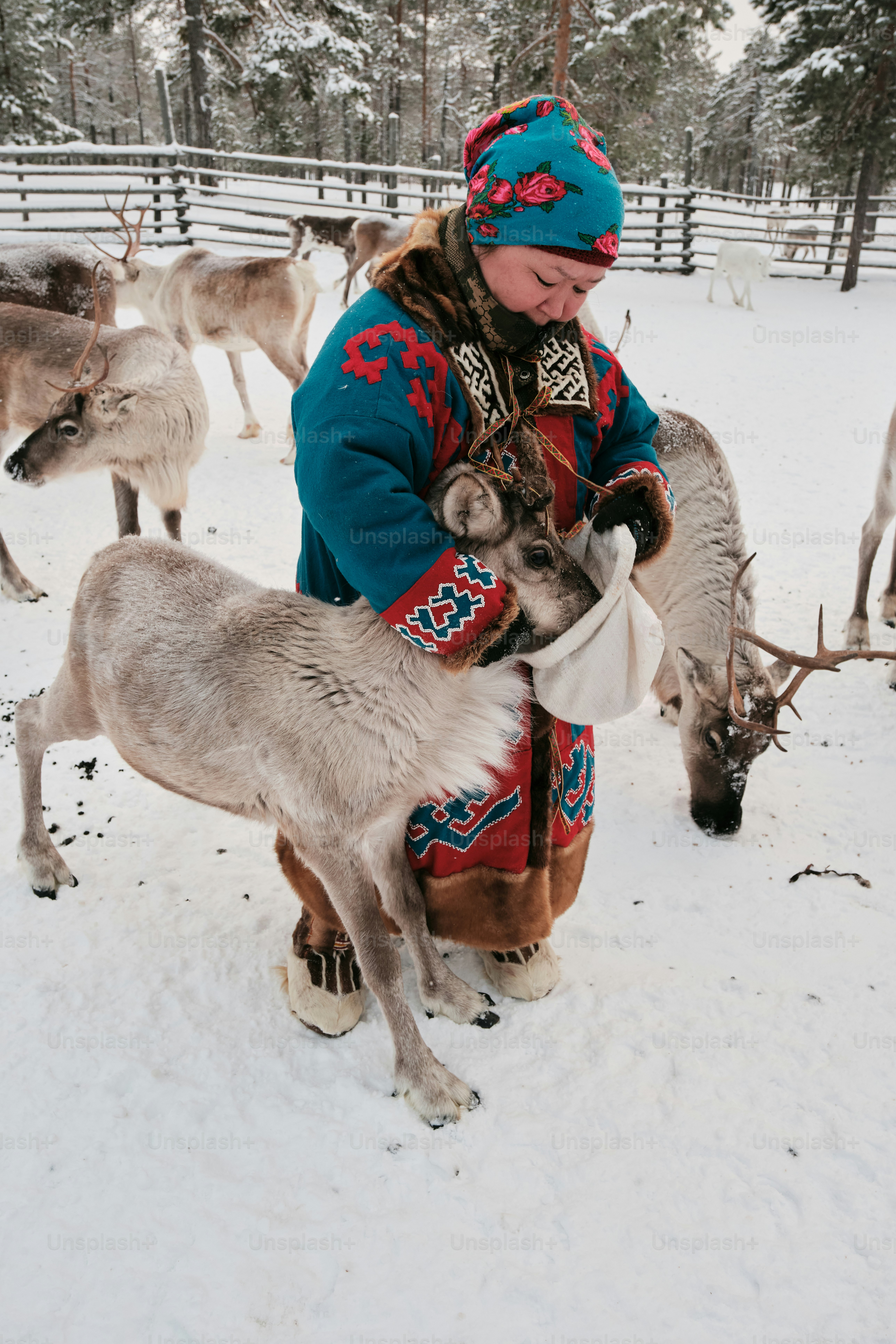 Un homme en tenue rouge et bleu caresse un renne