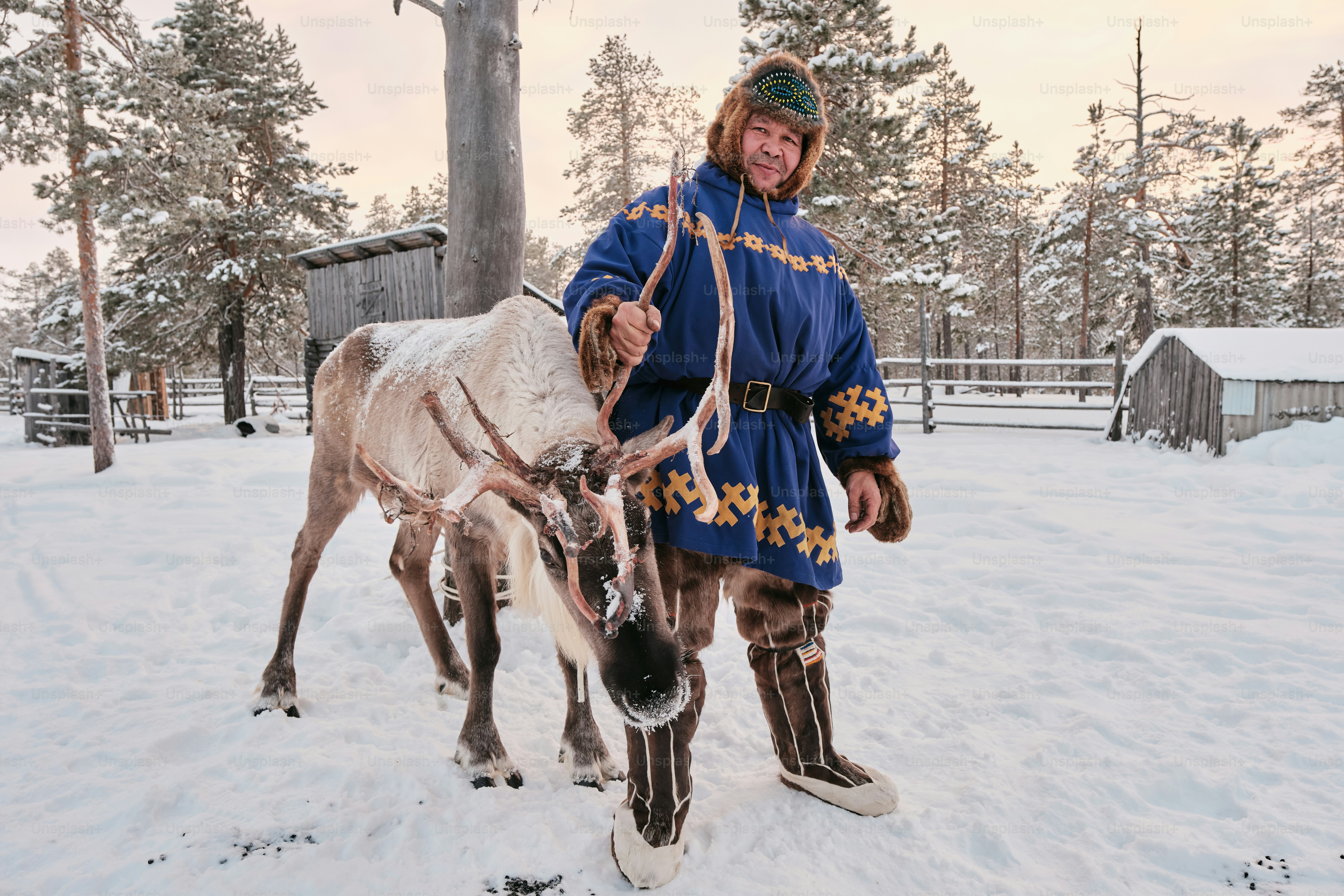 A man is standing next to a horse in the snow