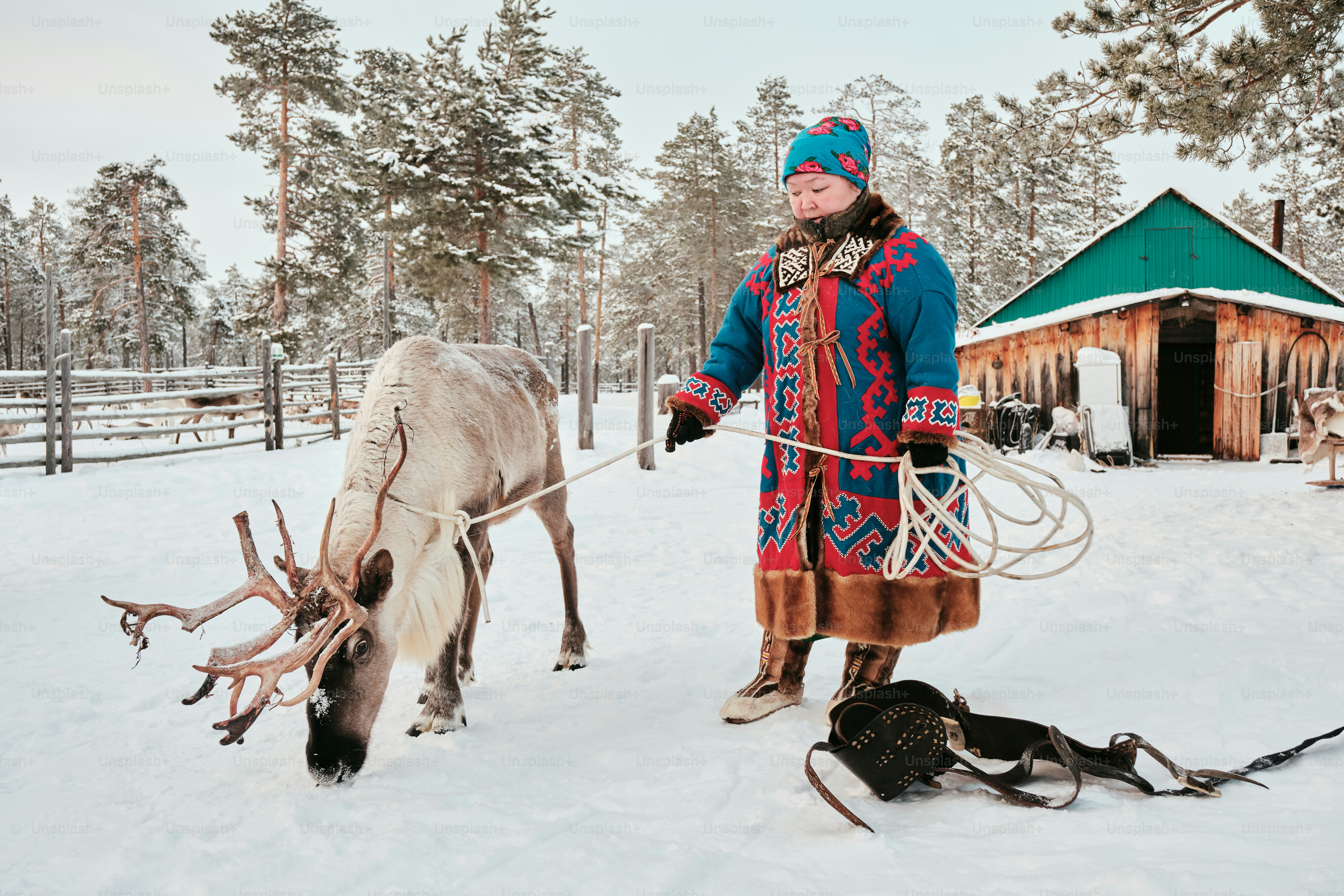 A man standing next to a reindeer in the snow