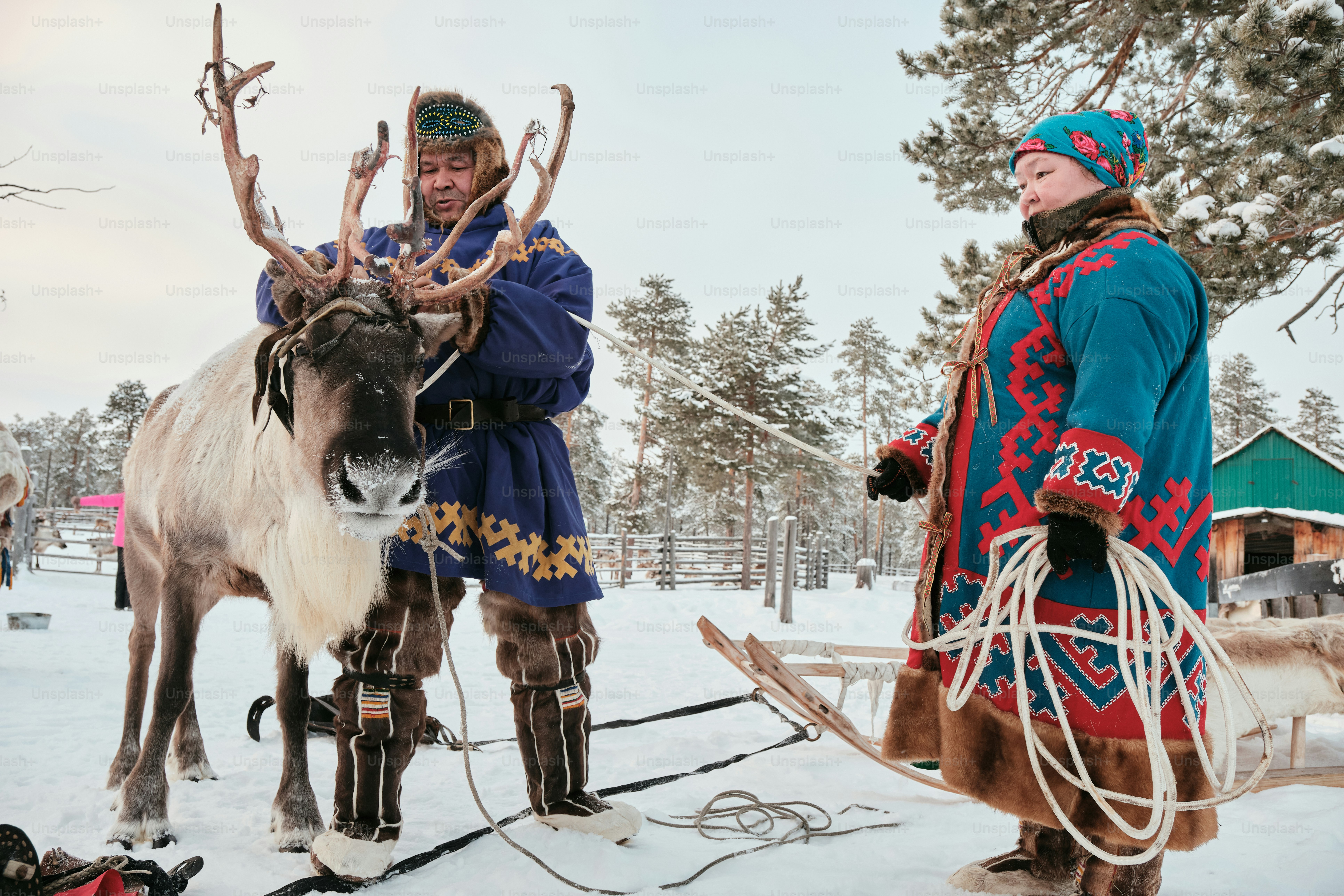 Two men dressed in traditional clothing standing next to a reindeer