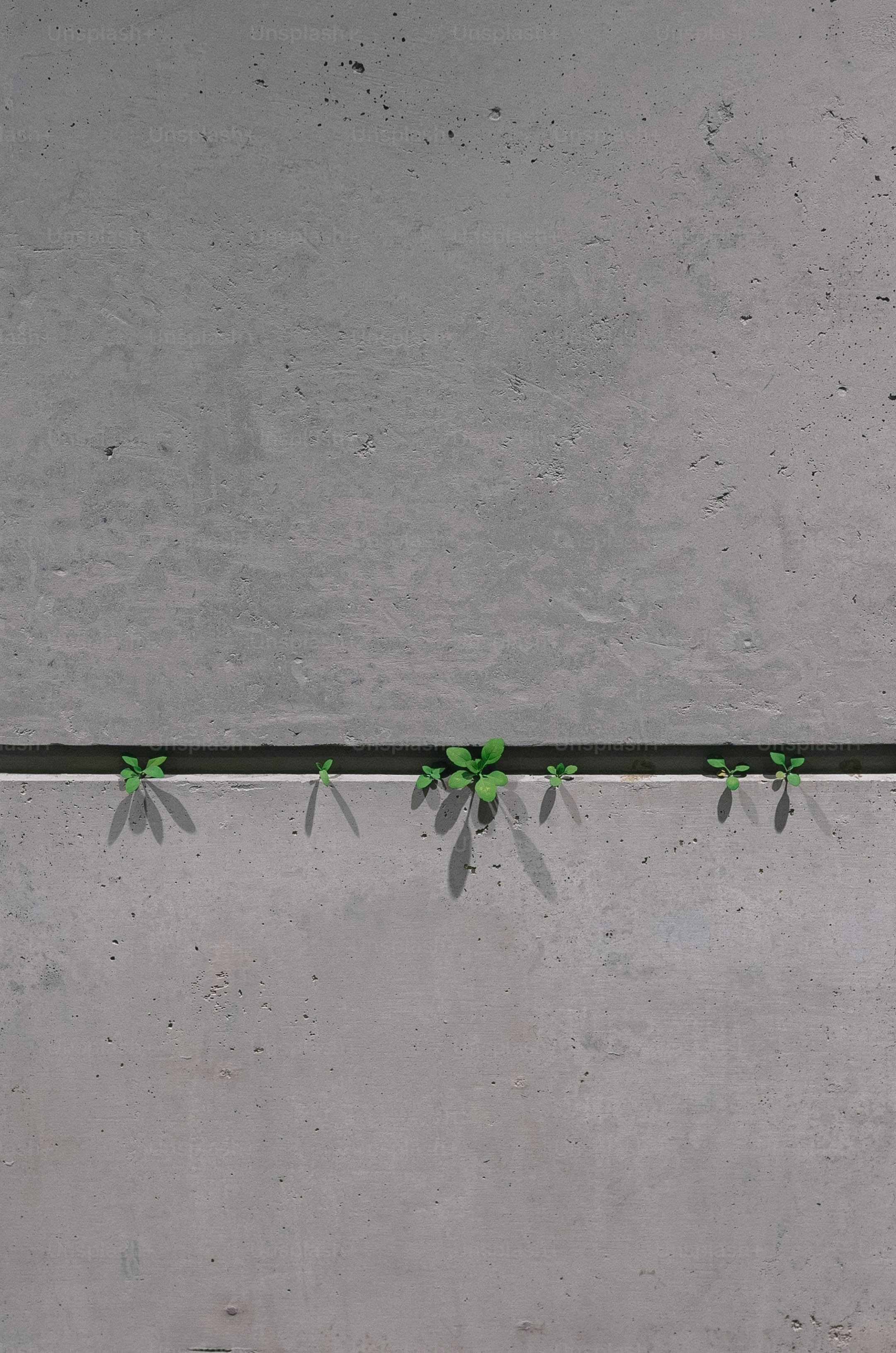 A red fire hydrant sitting on the side of a road