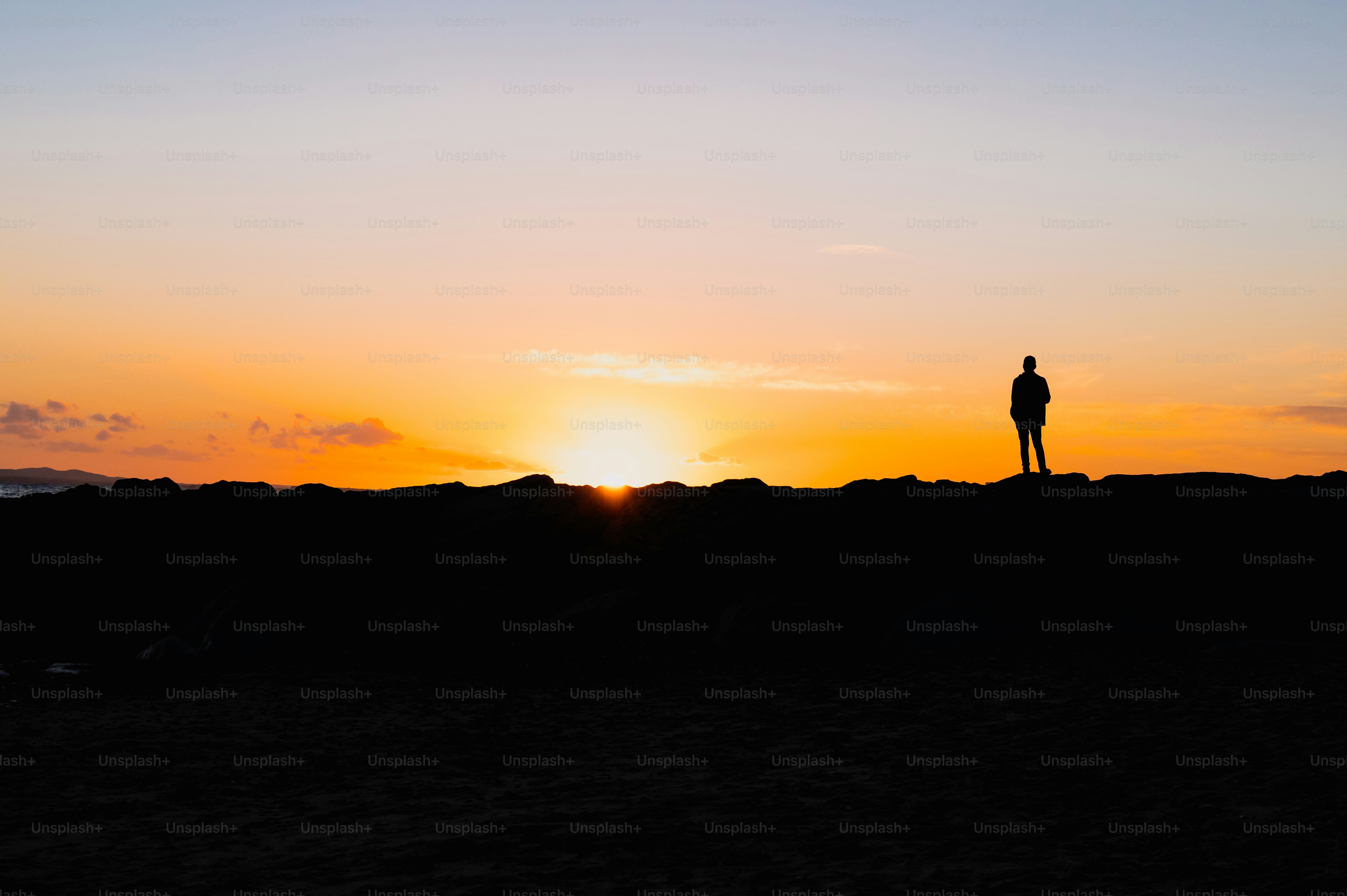 A person standing in the middle of a field at sunset