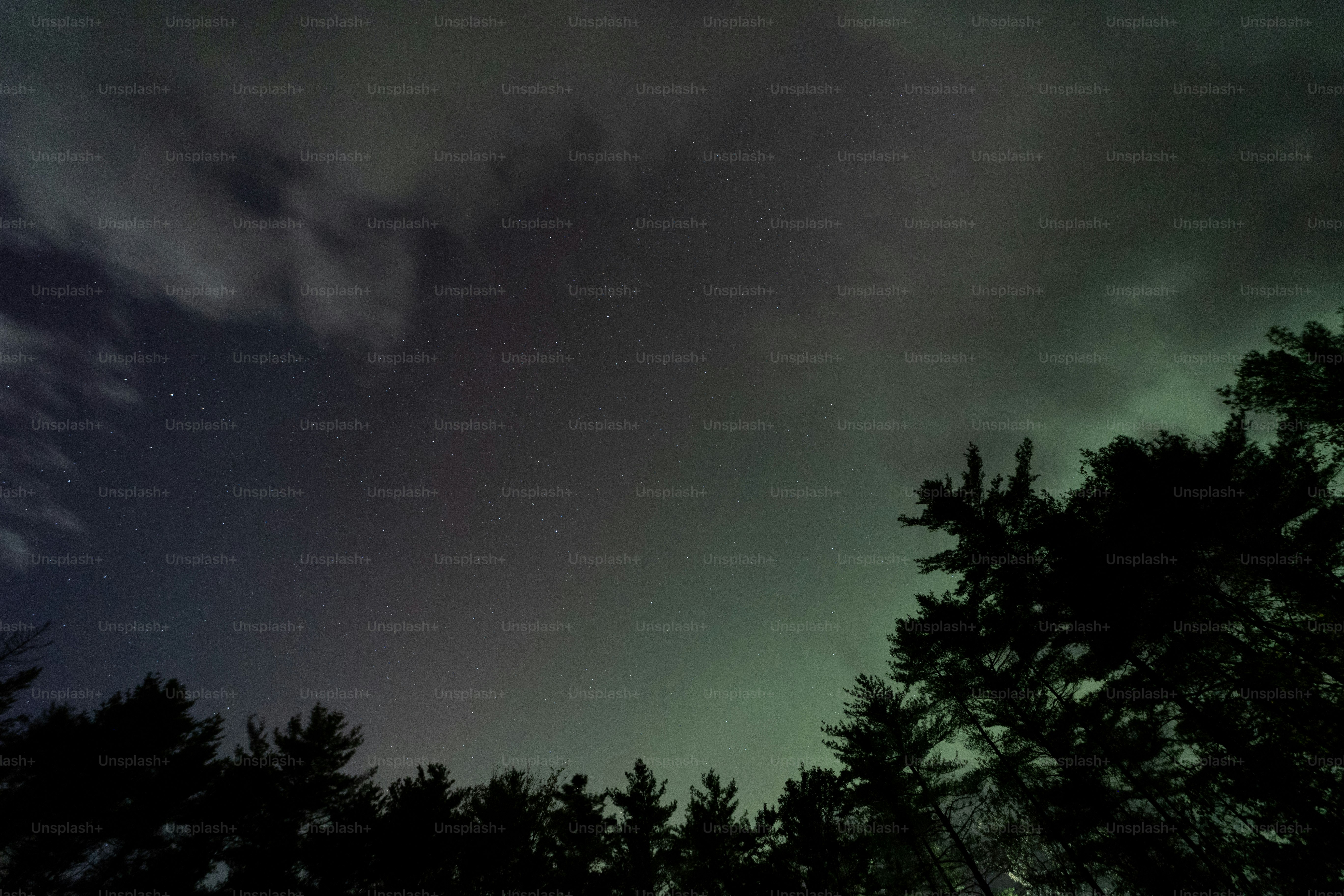 Ein Nachthimmel voller Sterne und Wolken