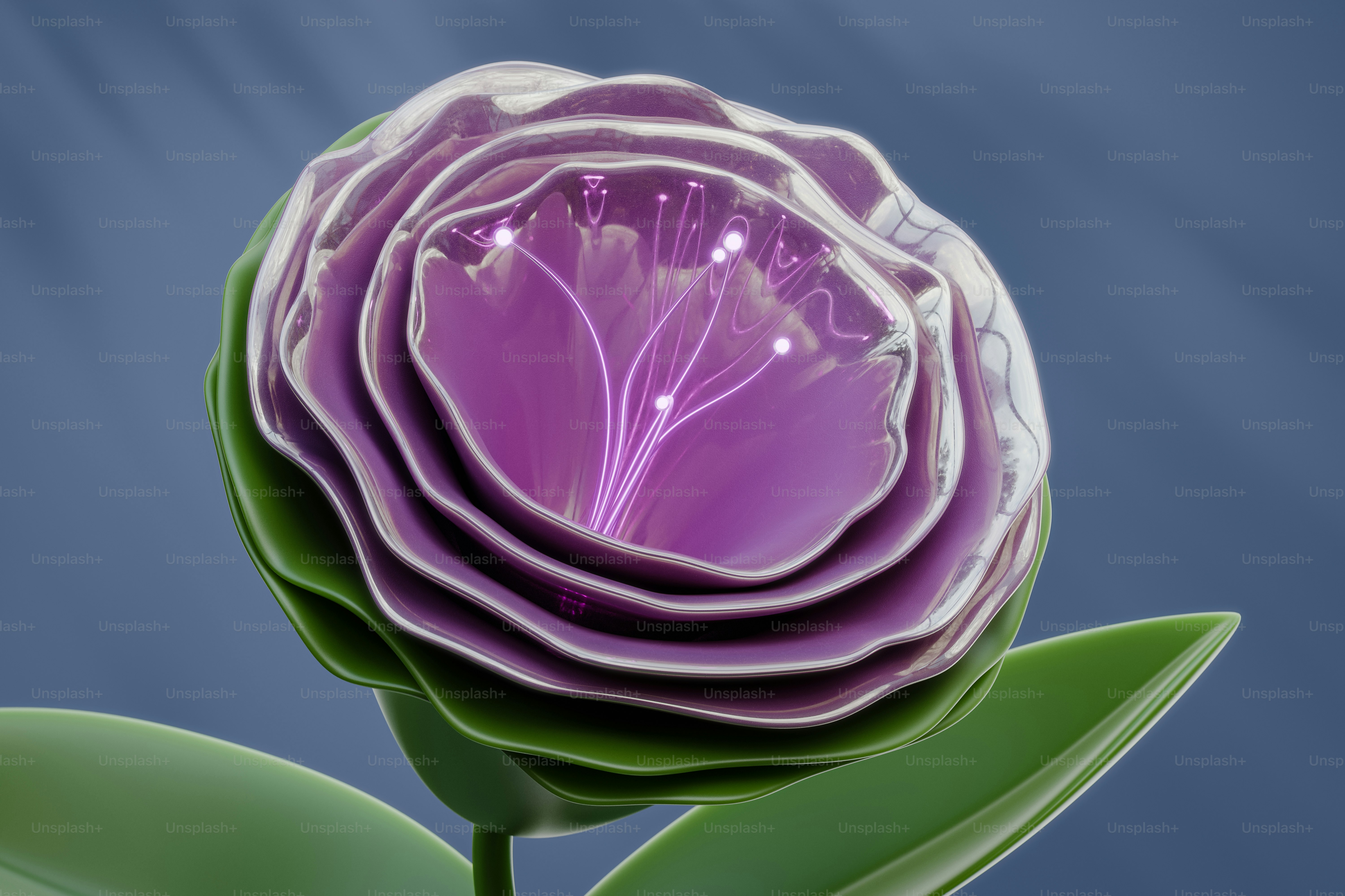 A close up of a purple flower with leaves