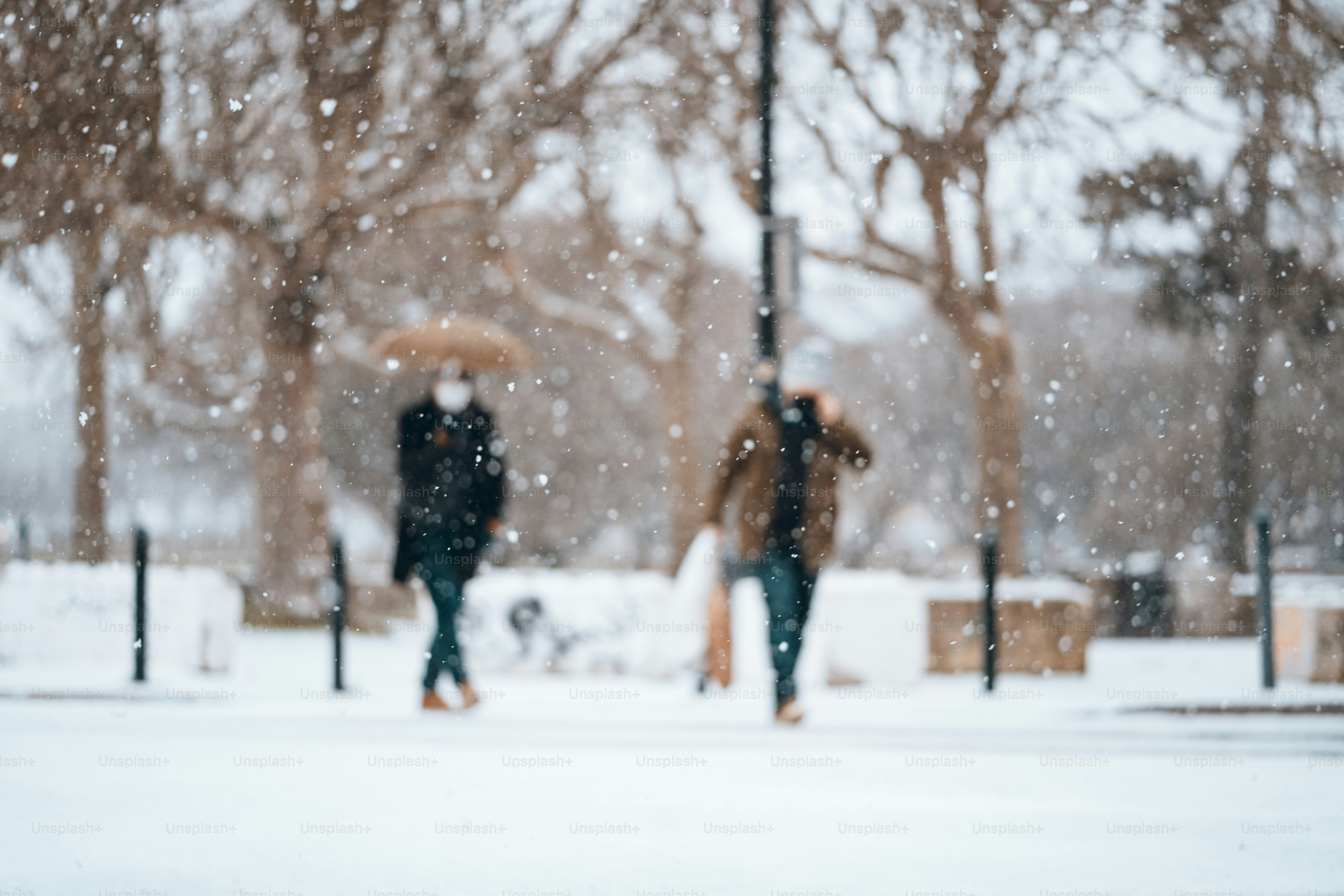 Two people walking in the snow with umbrellas