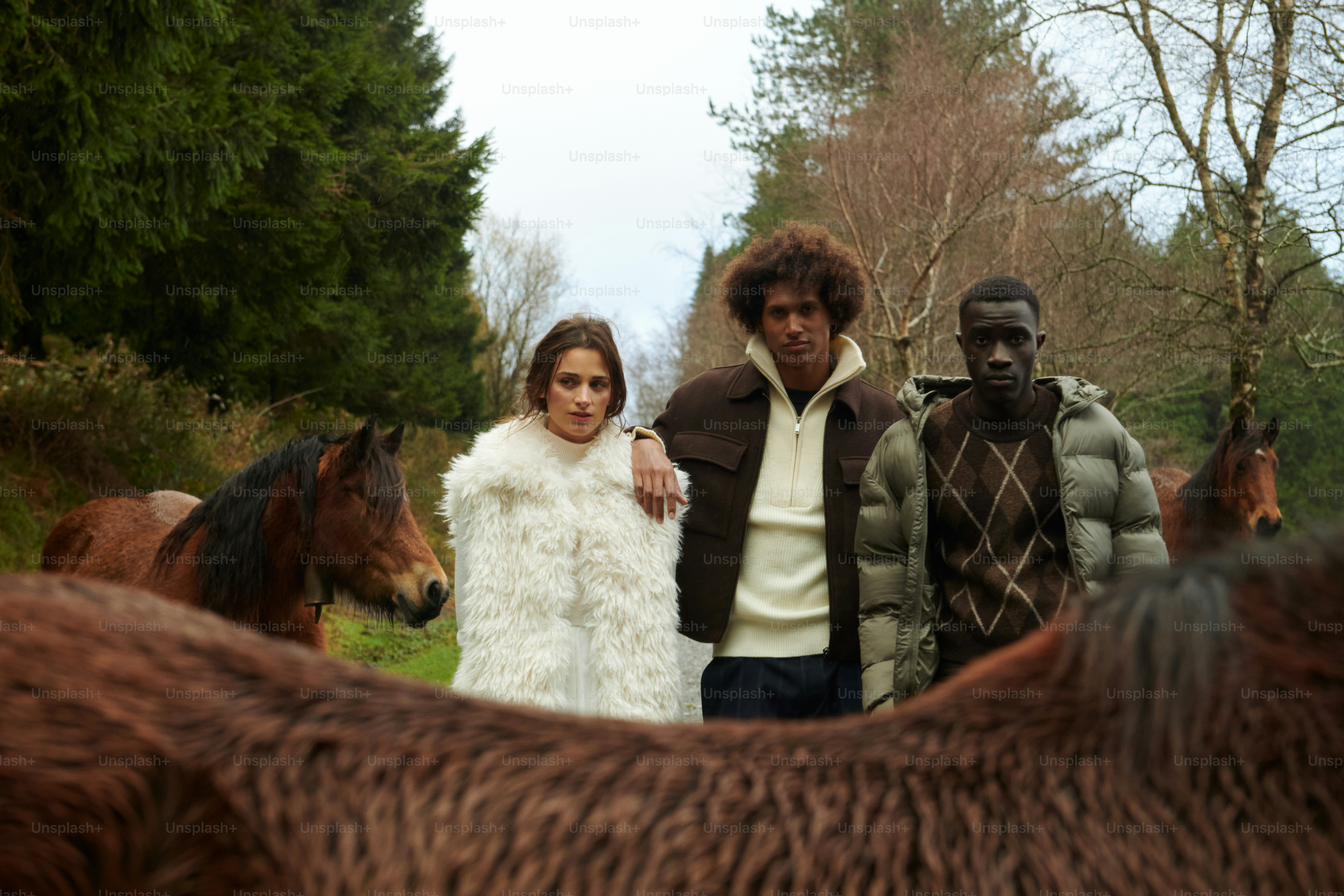 A group of people standing next to a brown horse