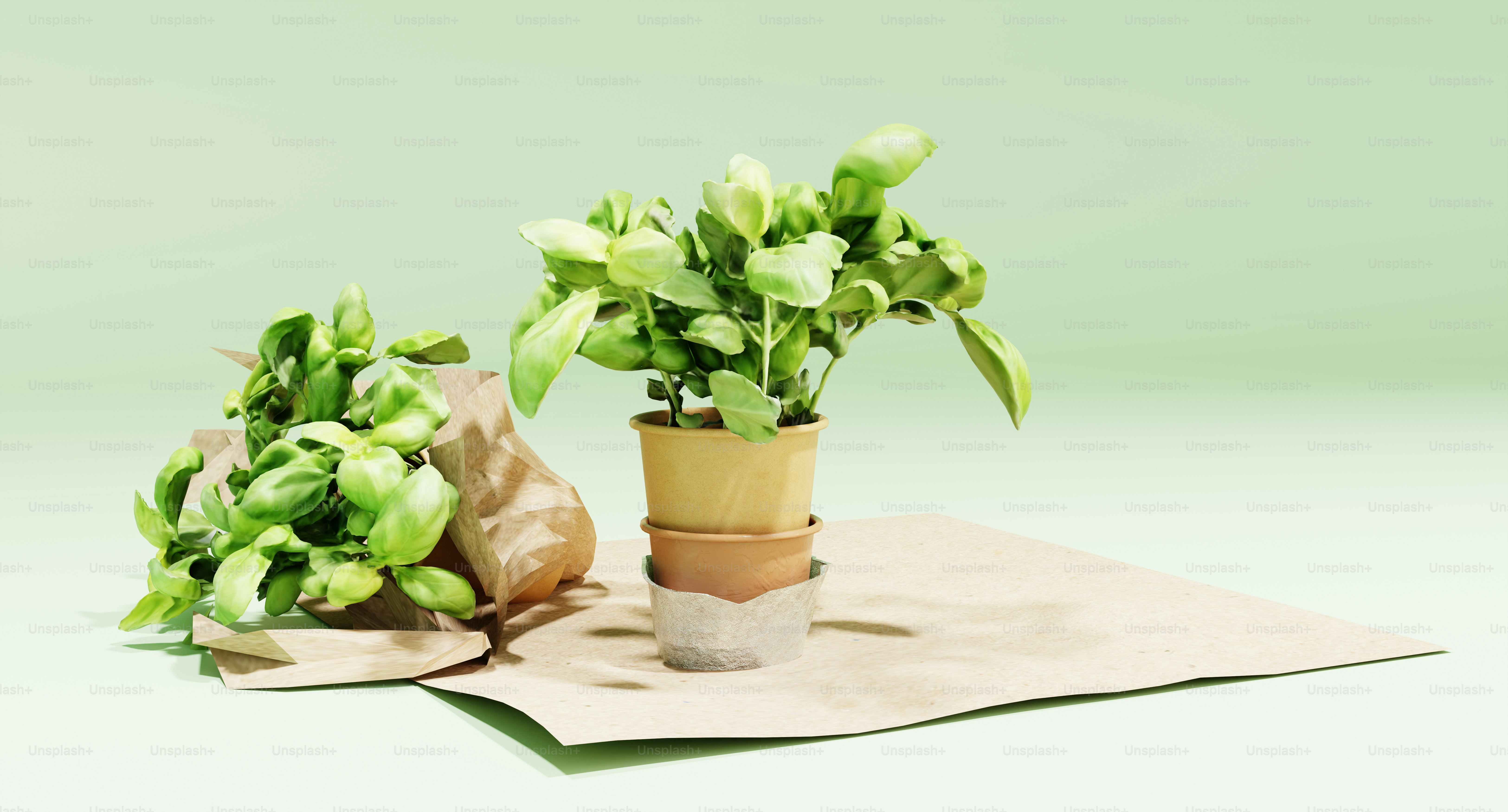 A small potted plant sitting on top of a piece of paper