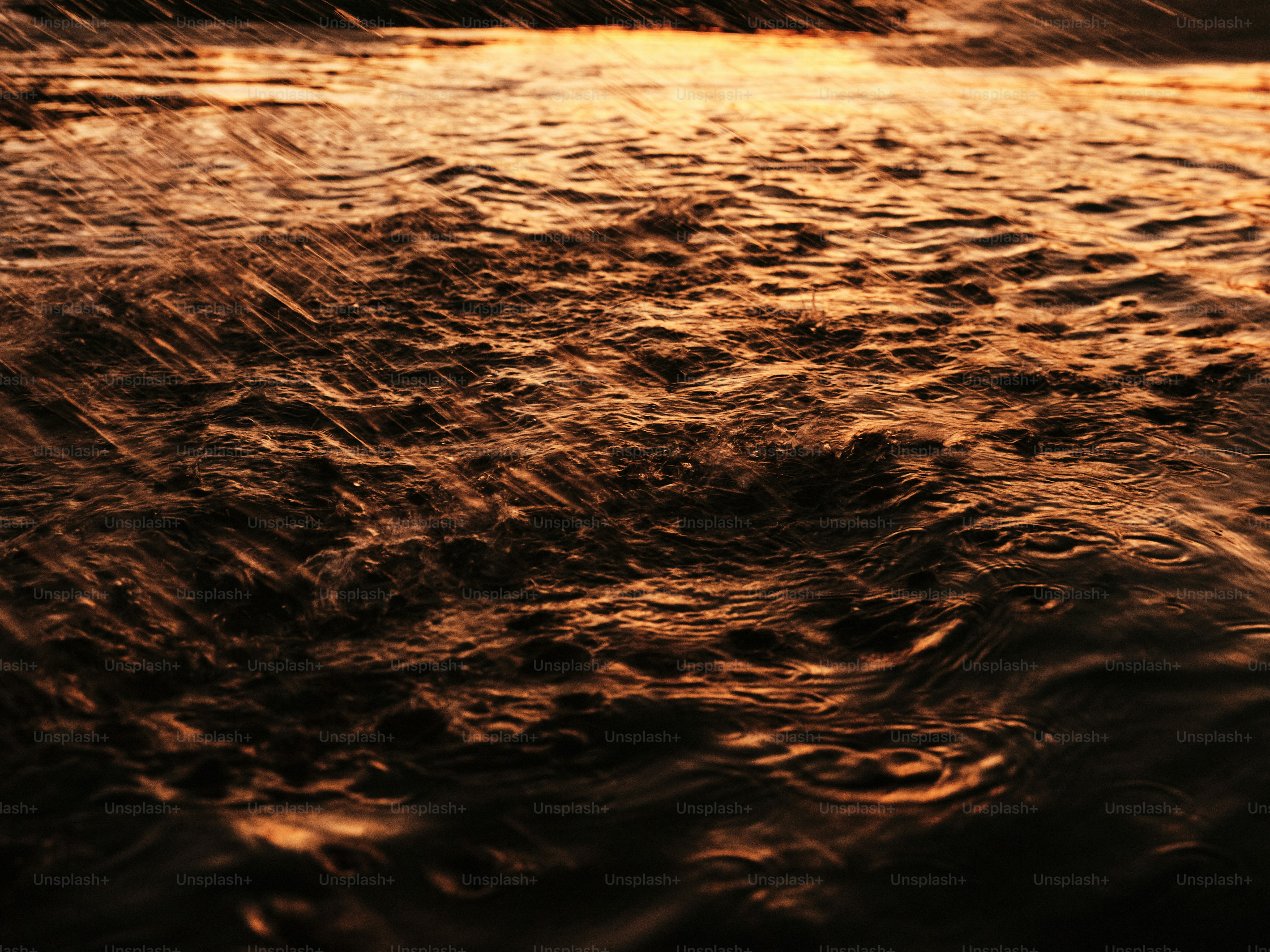 Uma foto borrada de uma praia ao pôr do sol