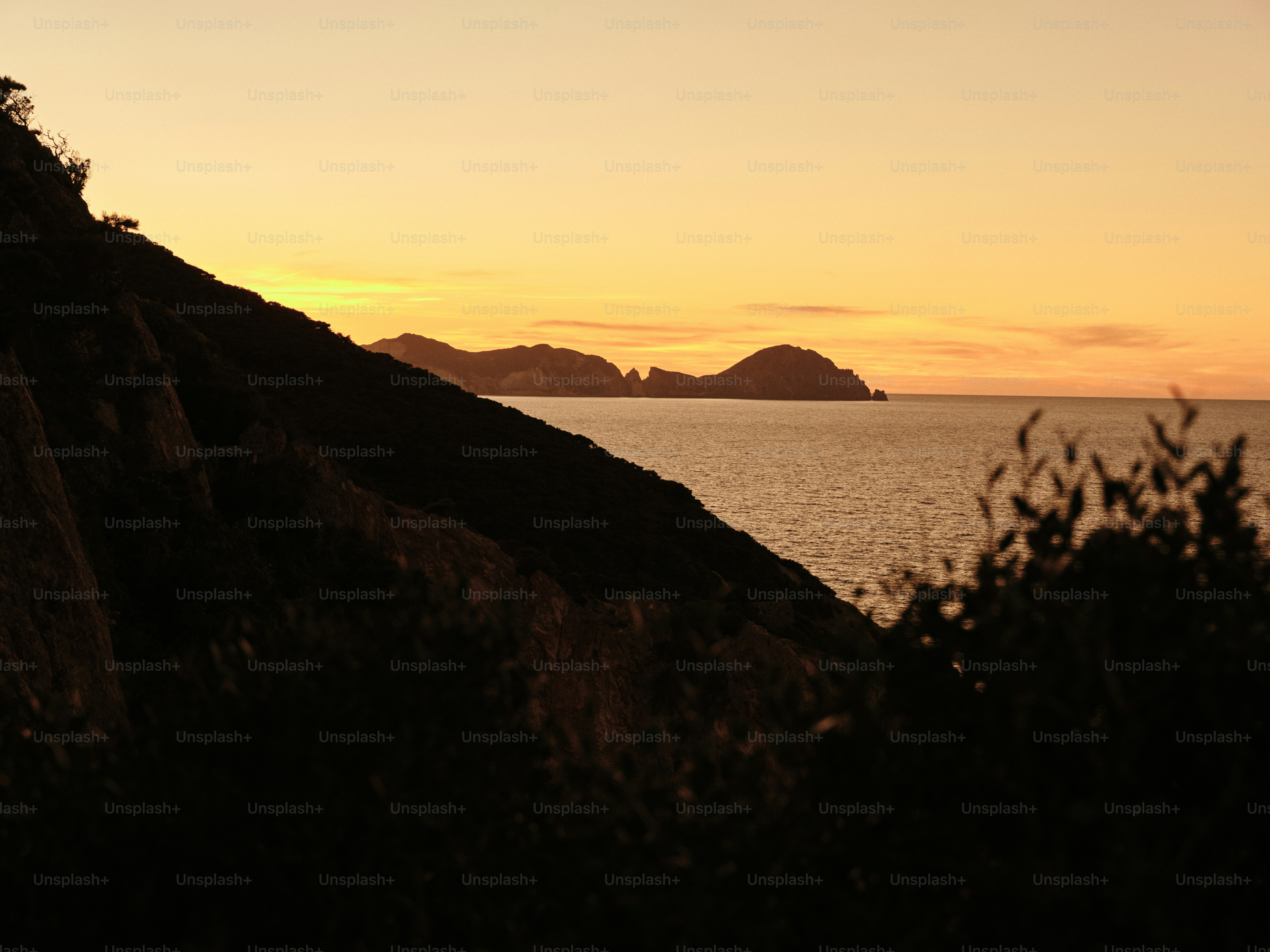 A bird flying over a body of water at sunset
