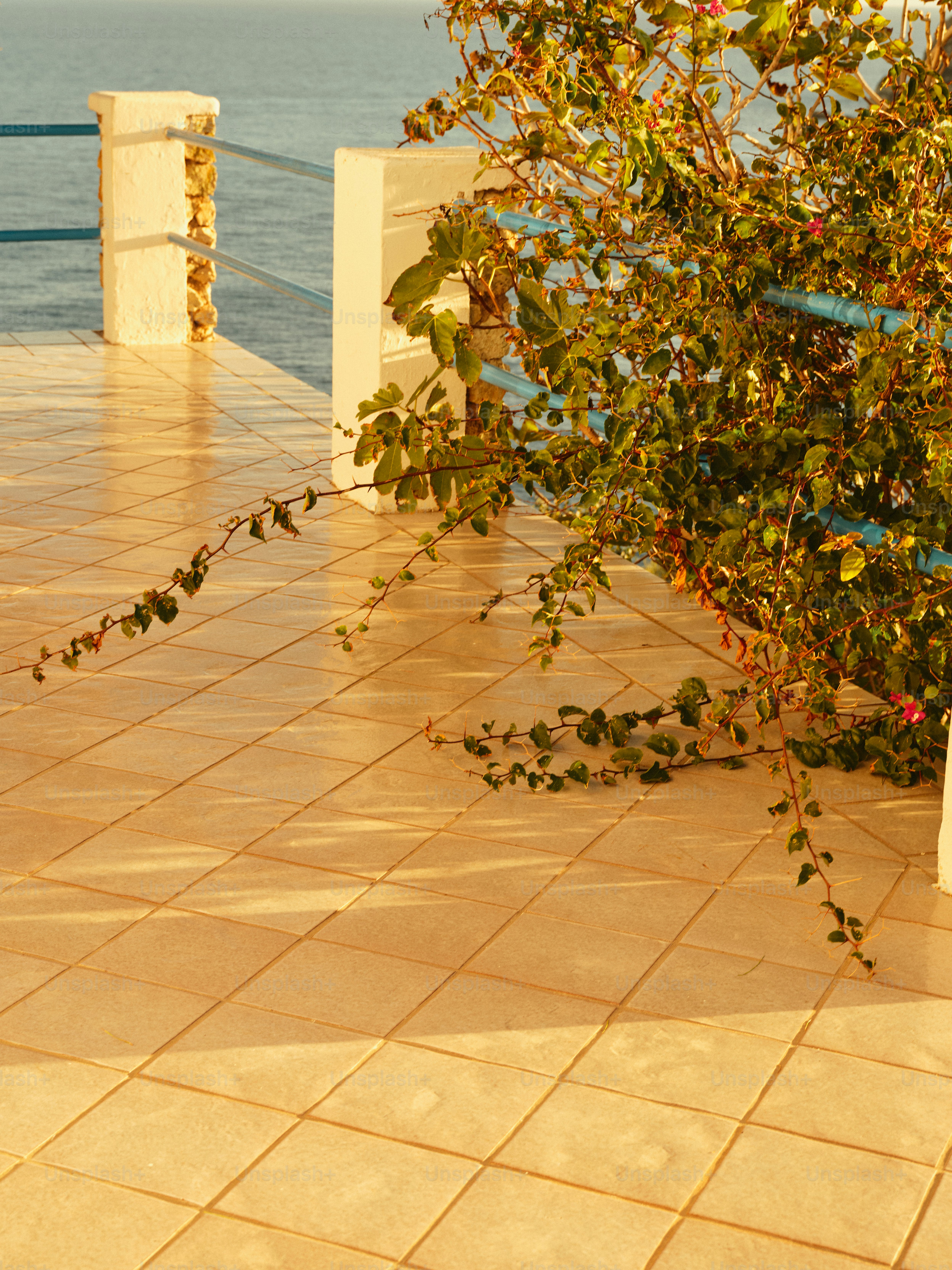 Um hidrante branco sentado em cima de um piso de azulejos