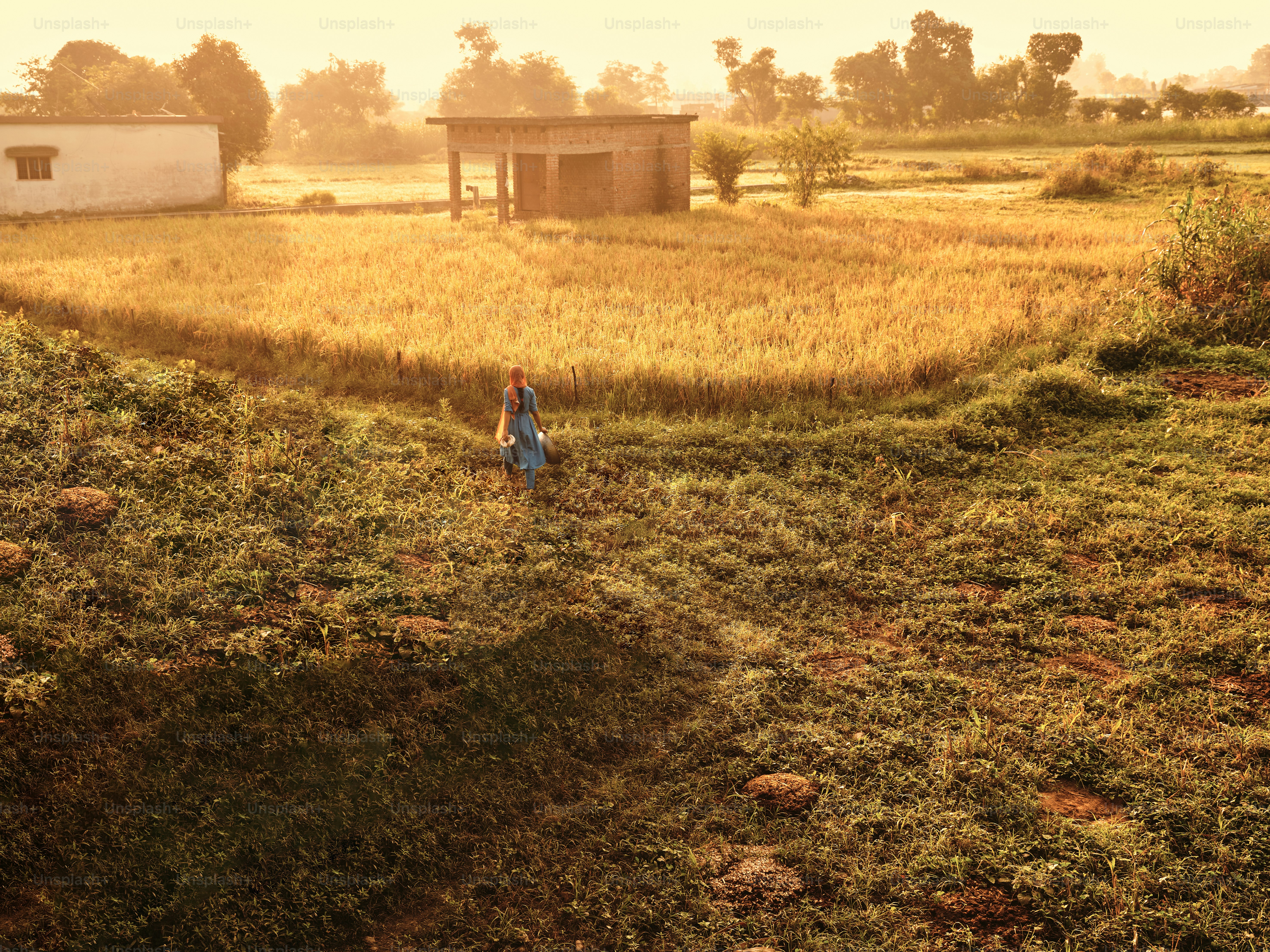 Uma pessoa em pé em um campo com uma casa ao fundo