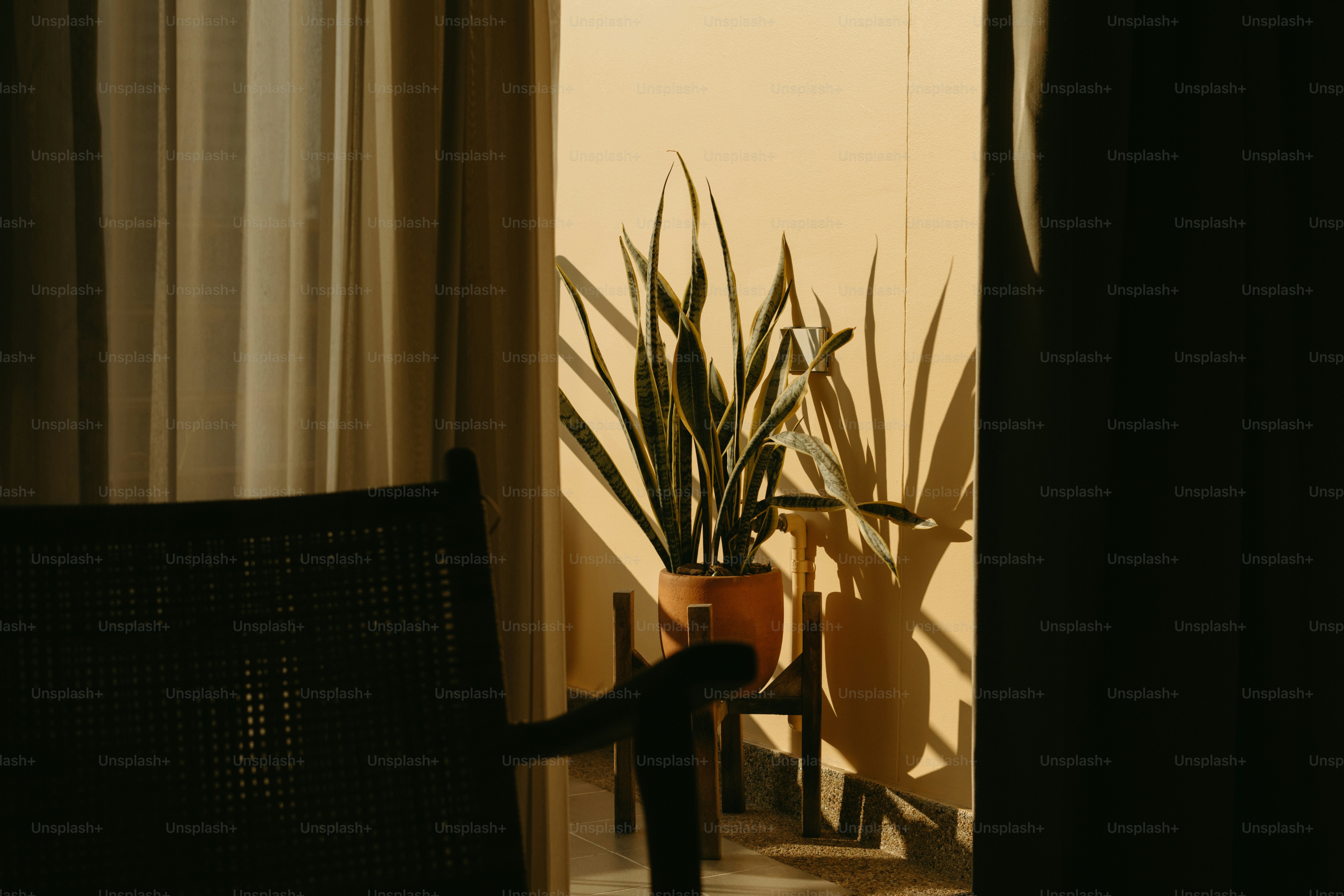 A chair sitting in front of a window next to a potted plant