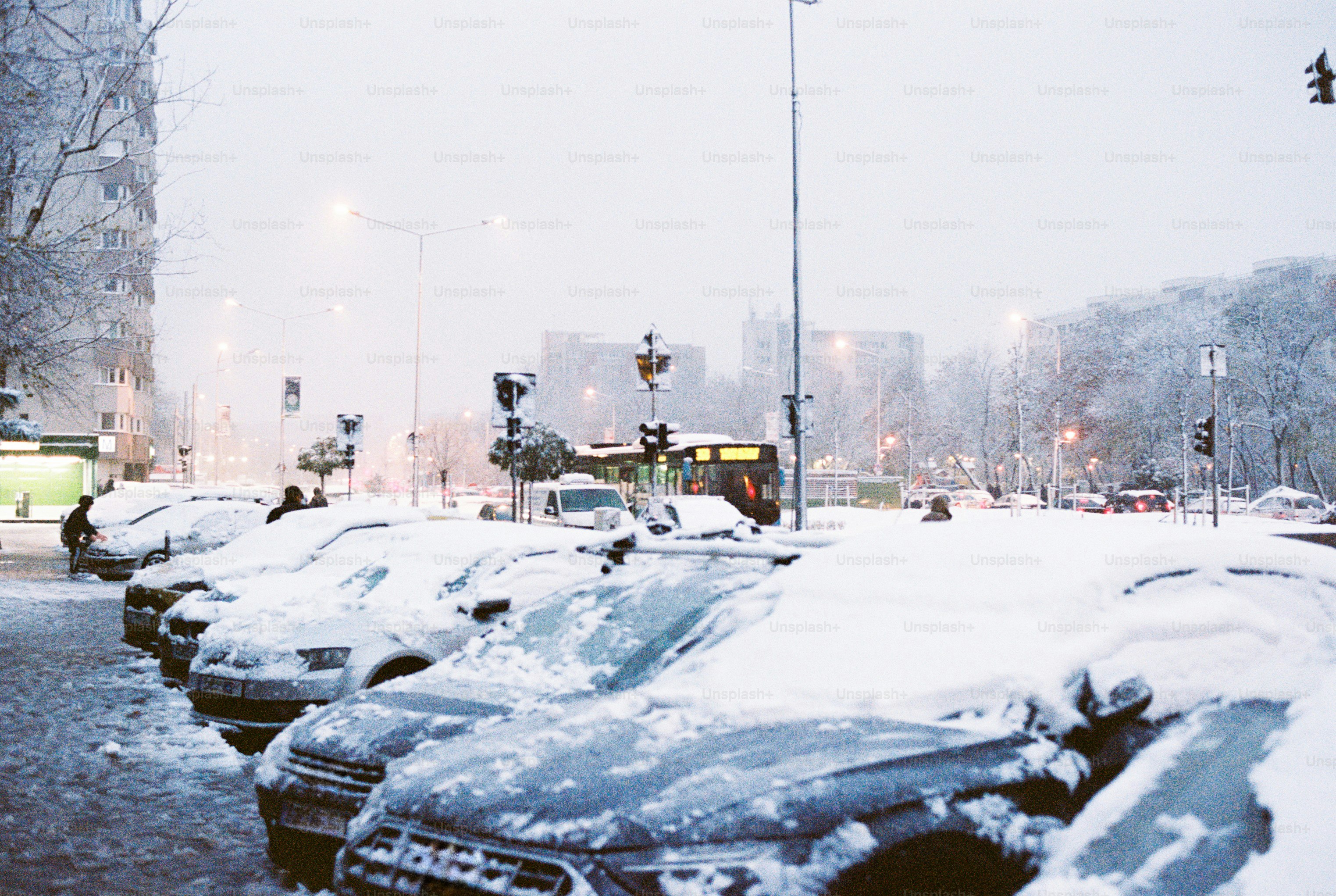 A row of parked cars covered in snow