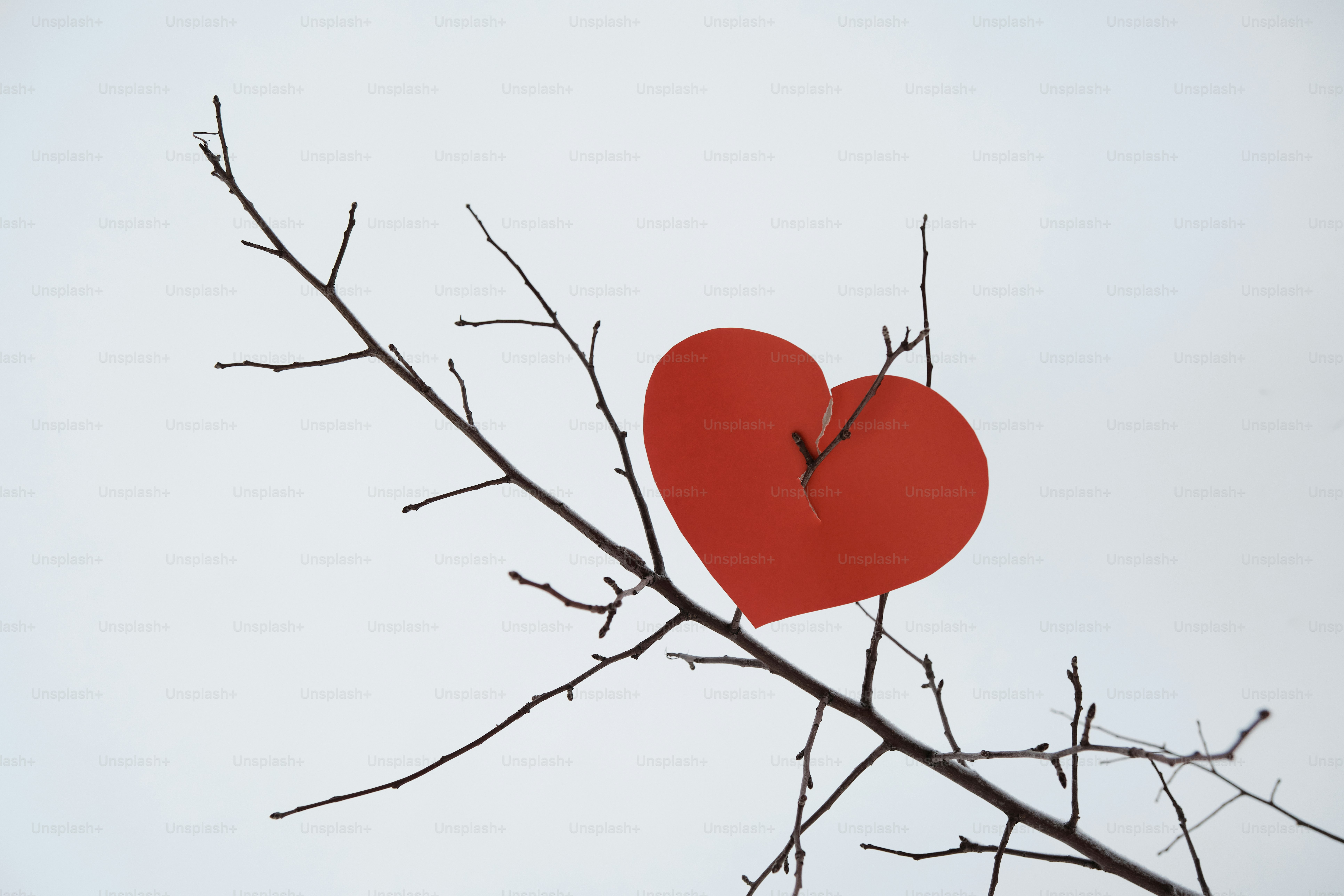 A red heart stuck in a tree branch