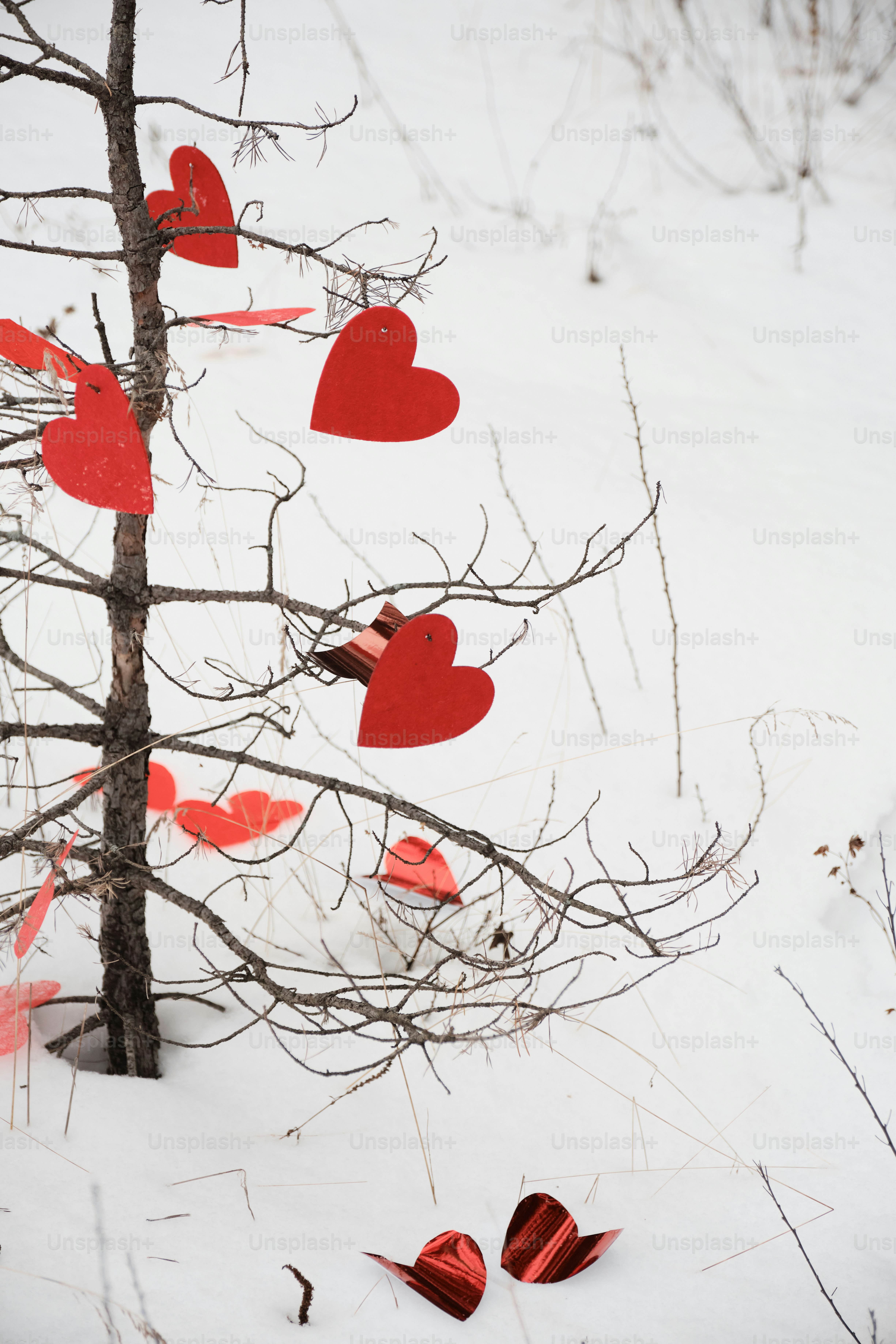 A group of red hearts hanging from a tree in the snow