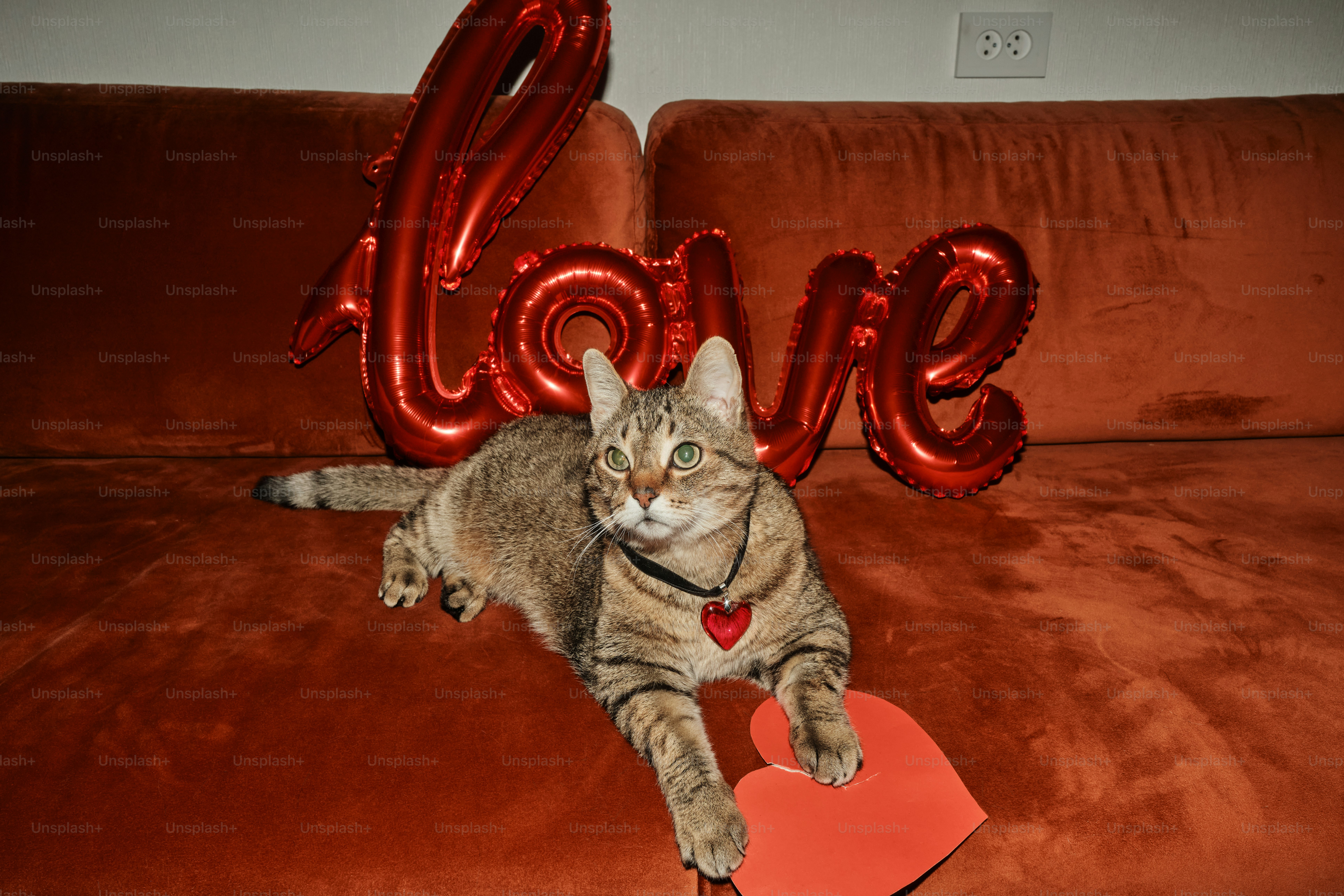 A cat laying on a couch with a red heart