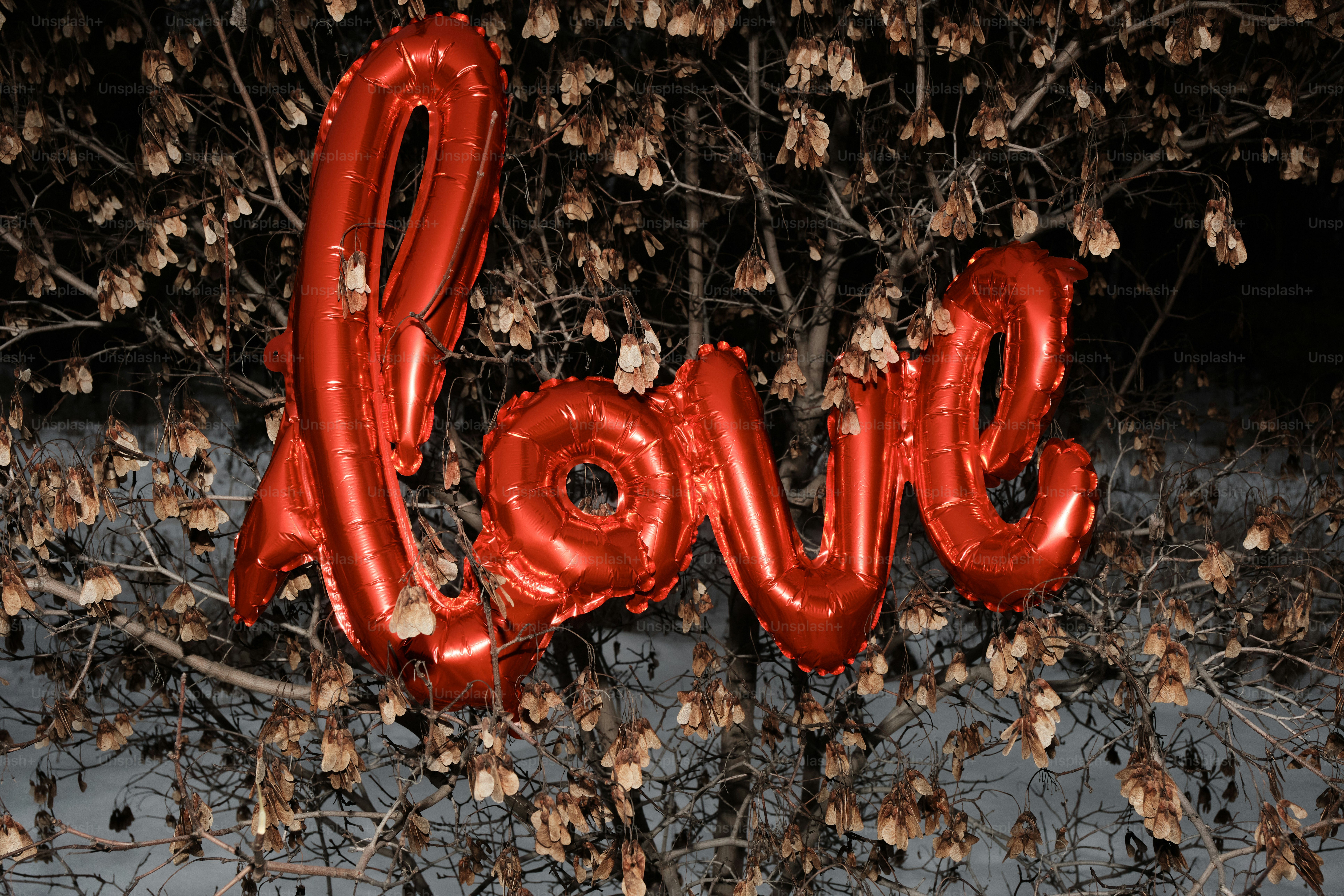 premium_photo-1736437251978-d502d25c6316?ixid=M3wxMjA3fDB8MXxzZWFyY2h8MXx8cm95YWxzJTIwbWFnYXppbmUlMjAtJTIwJUQwJUI2JUQxJTgzJUQxJTgwJUQwJUJEJUQwJUIwJUQwJUJCJTIwJUQwJUJFJTIwJUQwJUJCJUQxJThFJUQwJUIxJUQwJUIyJUQwJUI4fGVufDB8fHx8MTc1MjQ0MDIzOXww\u0026ixlib=rb-4.1.0