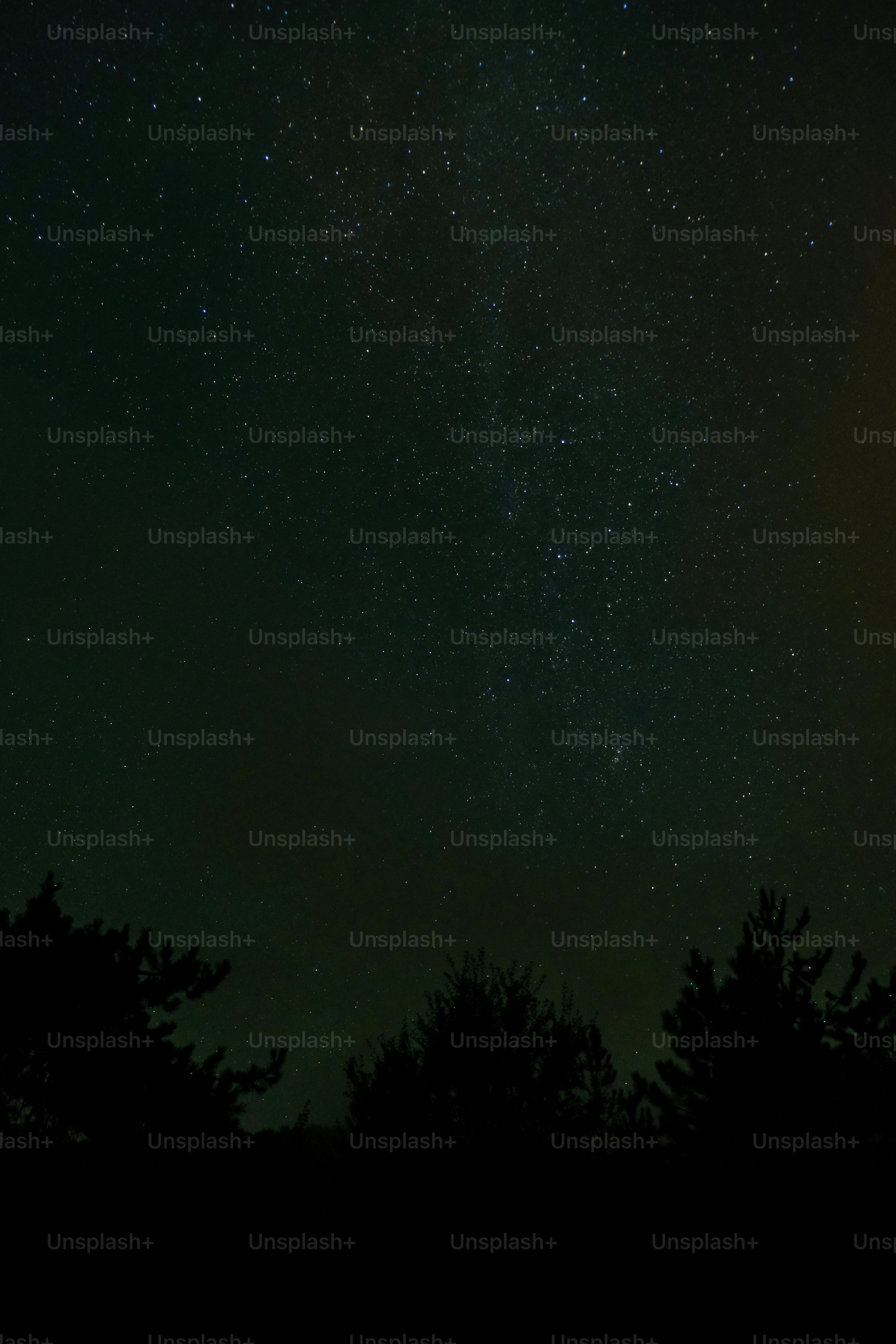 Der Nachthimmel ist voller Sterne und Bäume