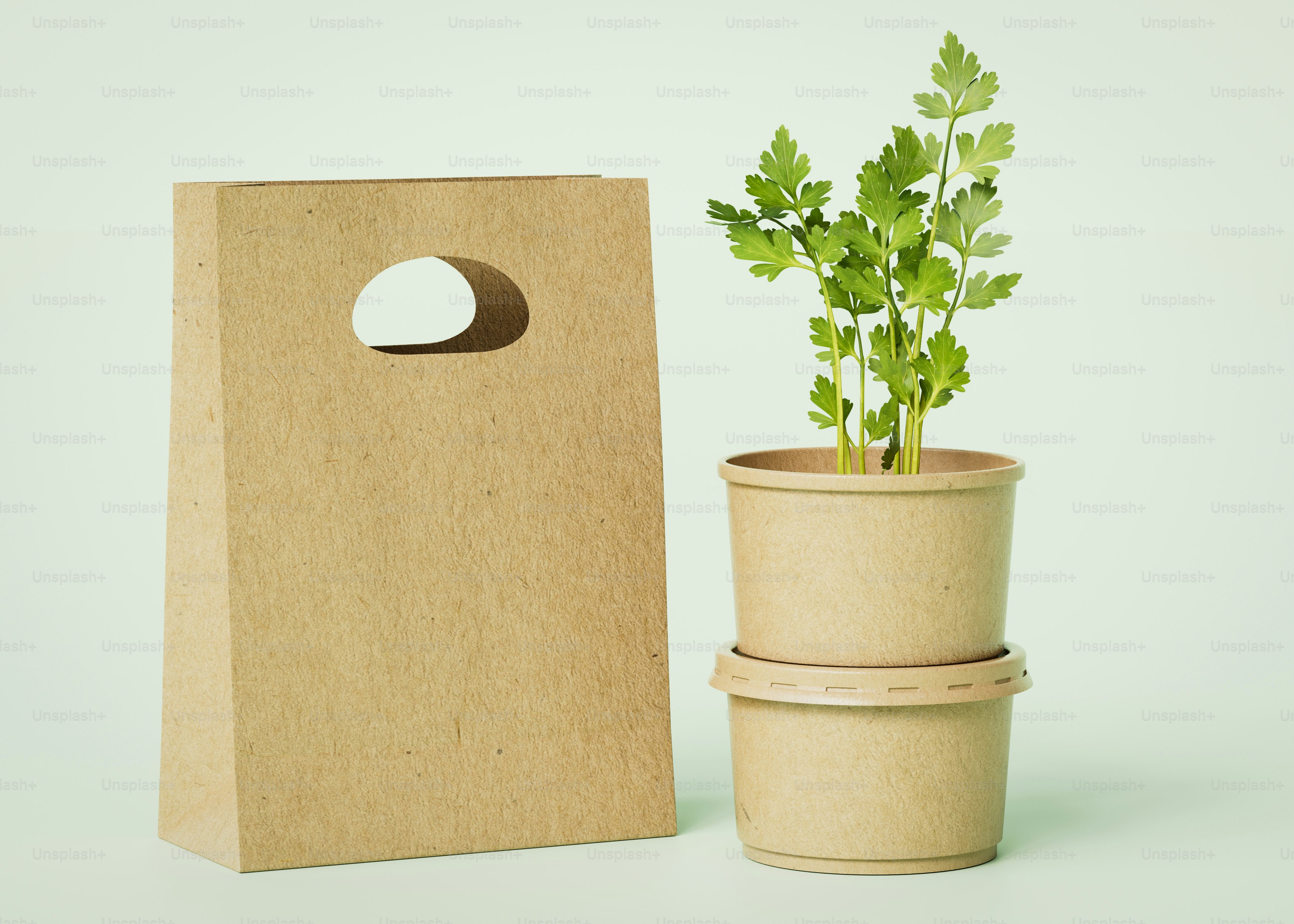 Eine Pflanze in einem Topf neben einer braunen Papiertüte