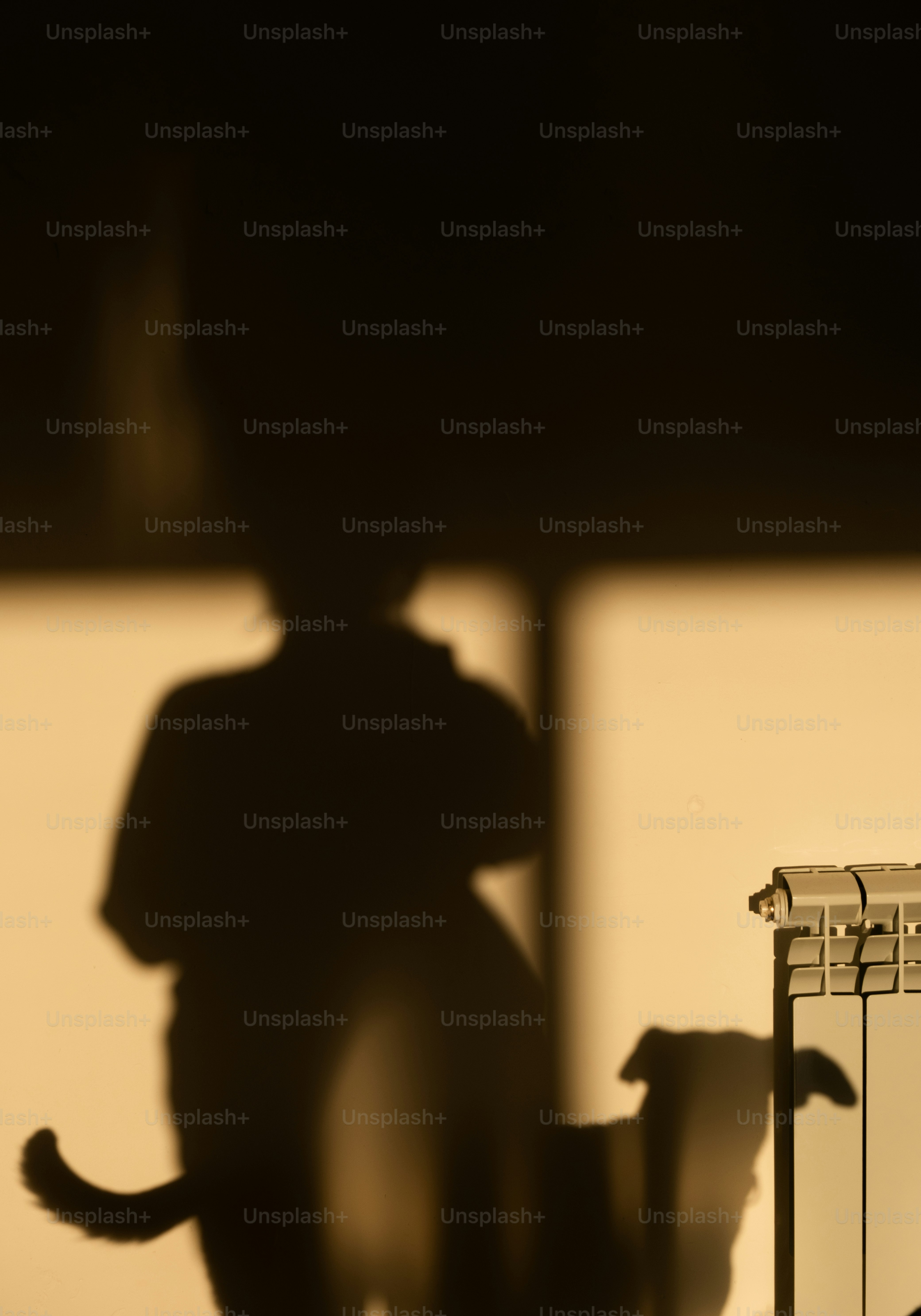 사람과 고양이의 그림자